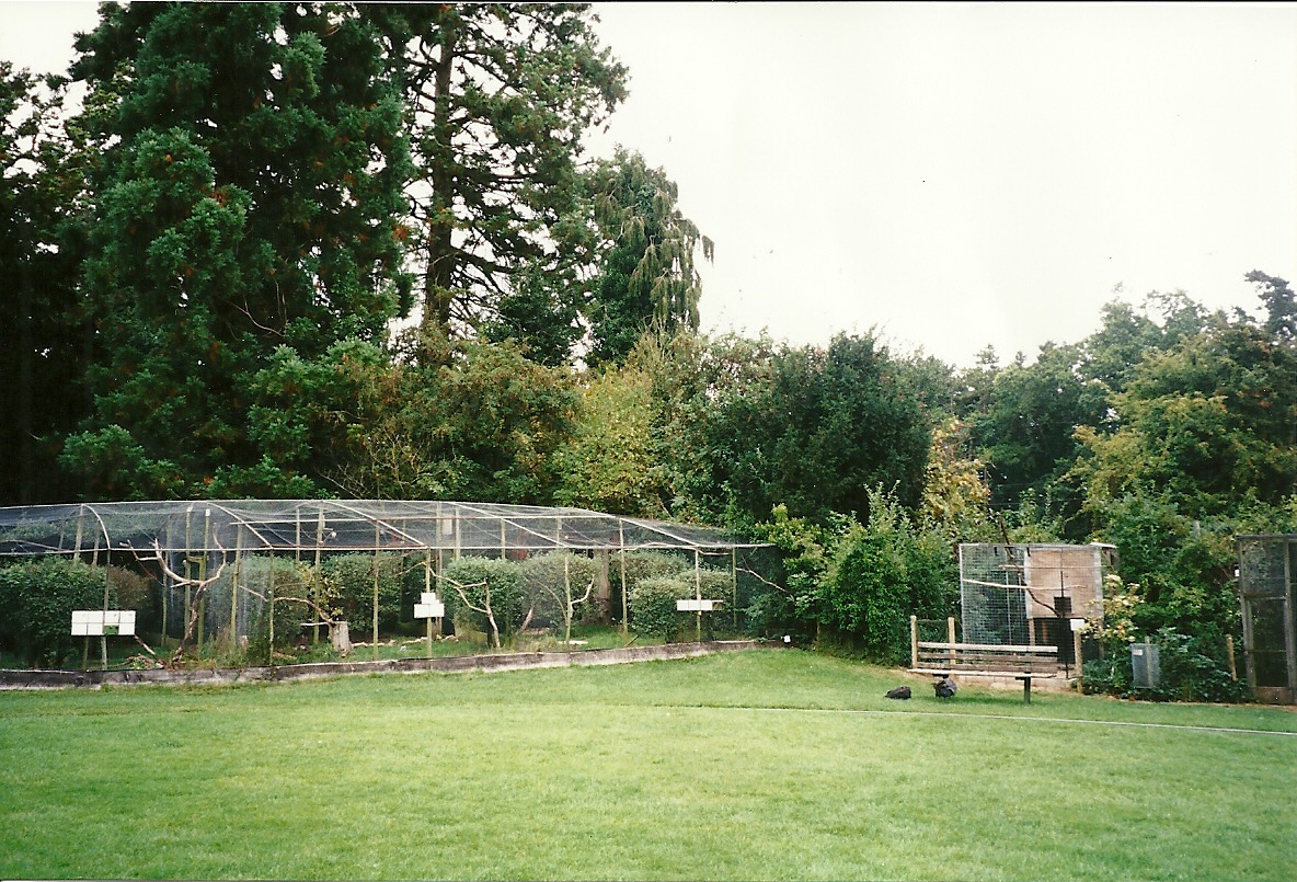 Rode (closed) 13th September 2000