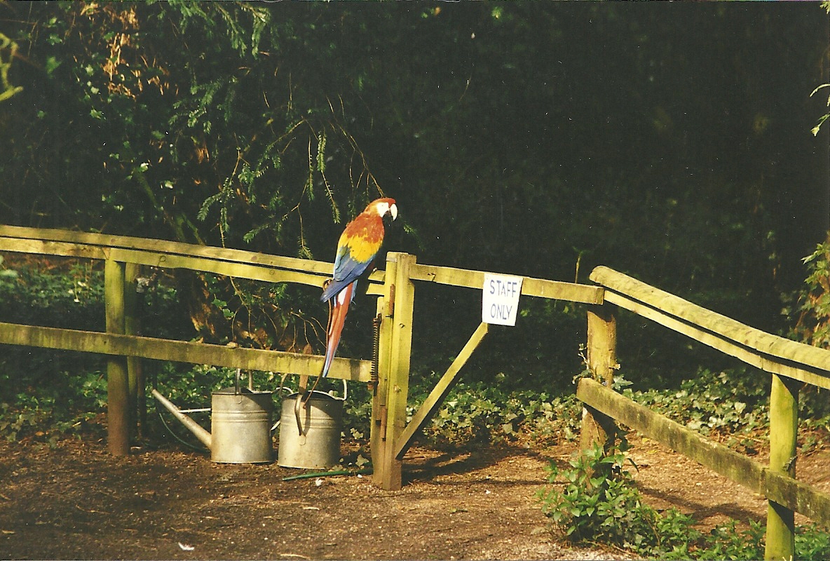 Rode (closed) 1st April 1999