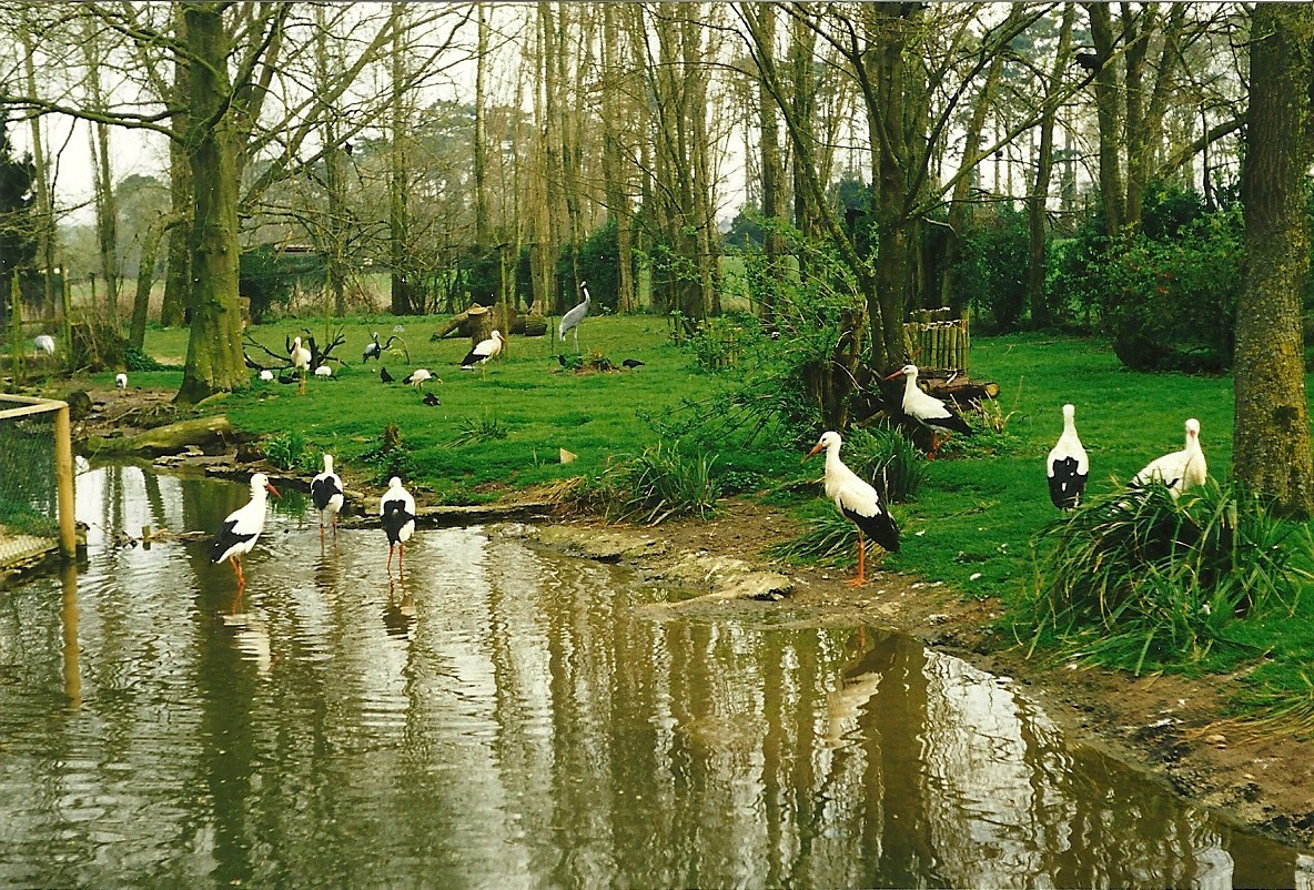 Rode (closed) 1st April 1999