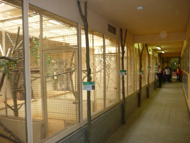 Rodent & Bird Section