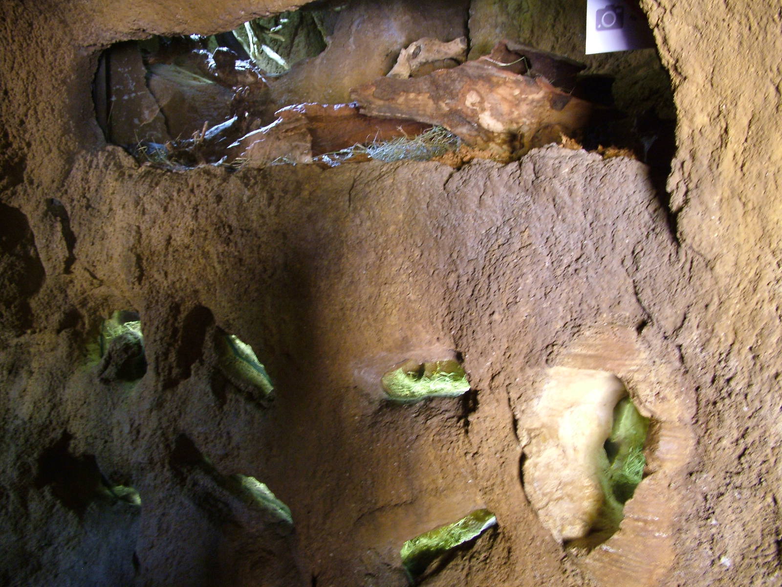 Rodent Exhibits at Bioparc Valencia, 28/05/11