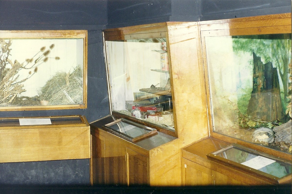 Rodent House 30th October 1997