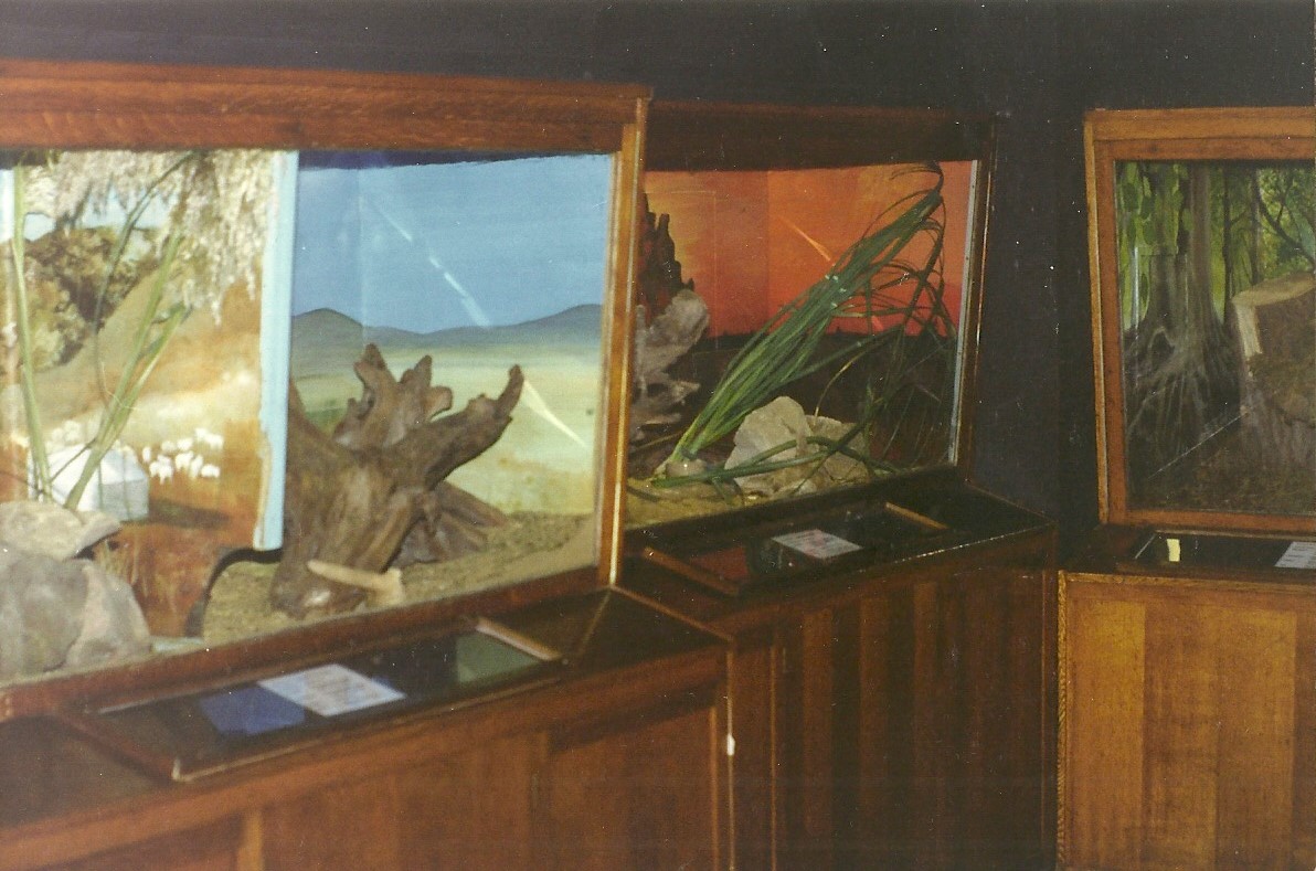 Rodent House 30th October 1997