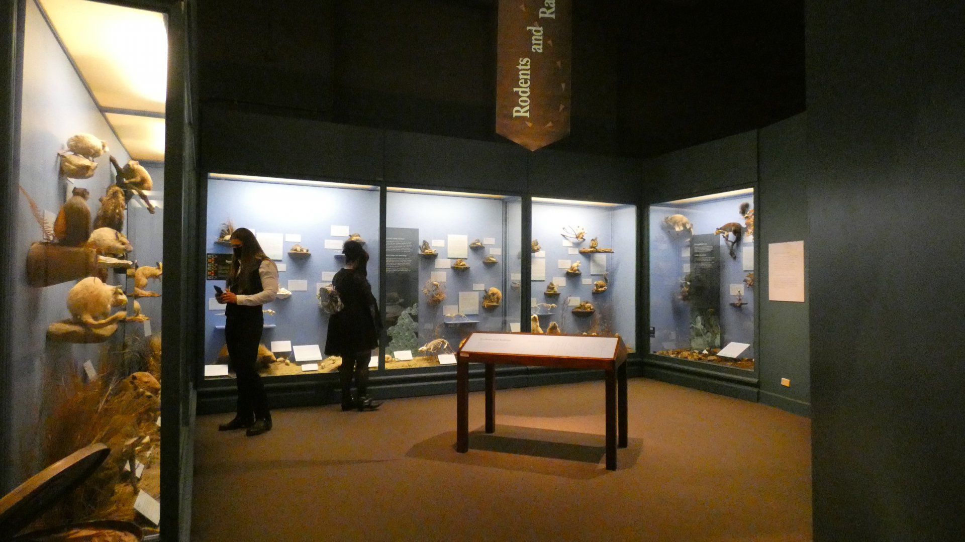 Rodents & Rabbits, Animal Groups - Feb. 2022