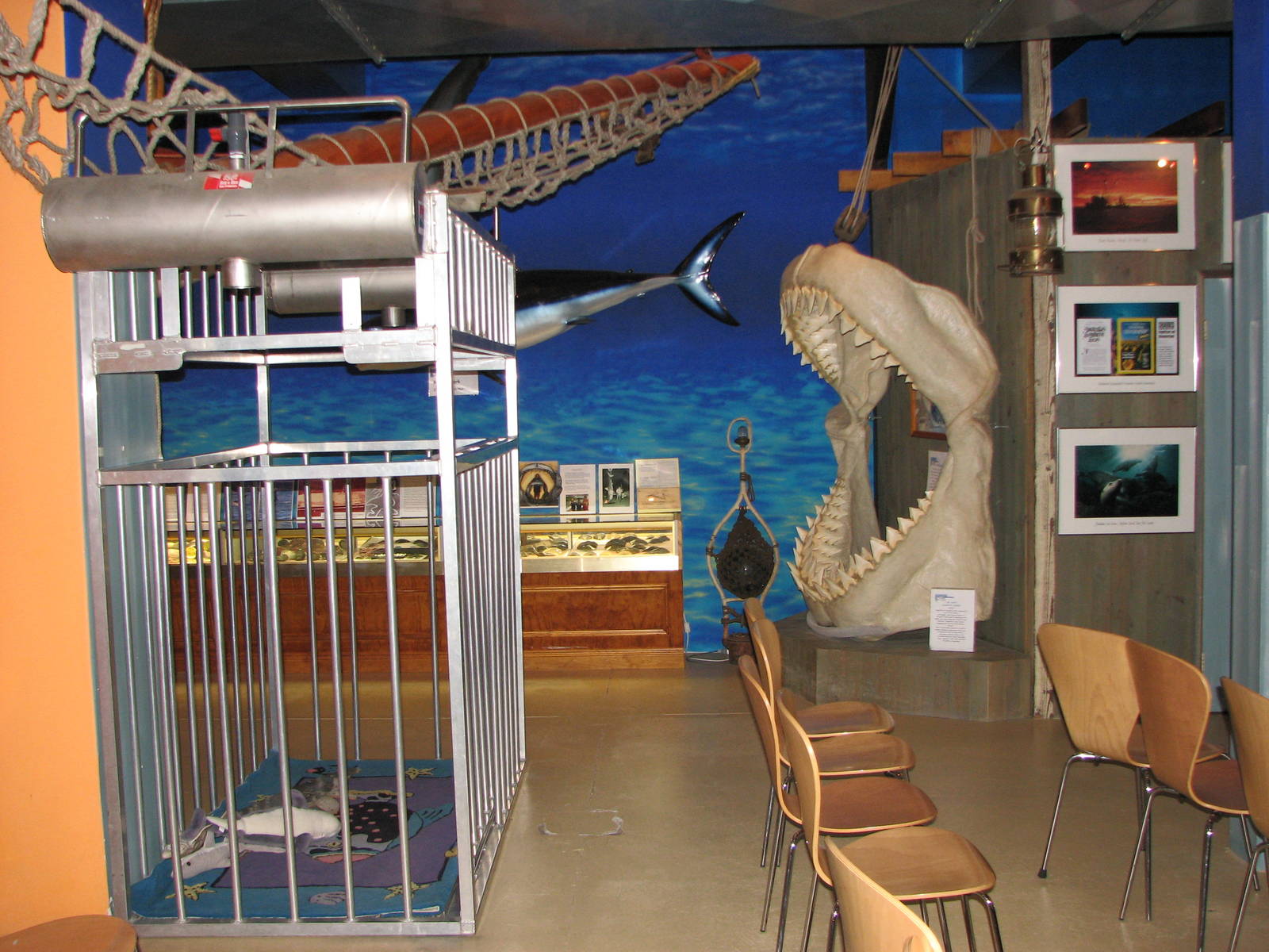 Rodney Fox Shark Experience Museum 2008 - Inside the museum
