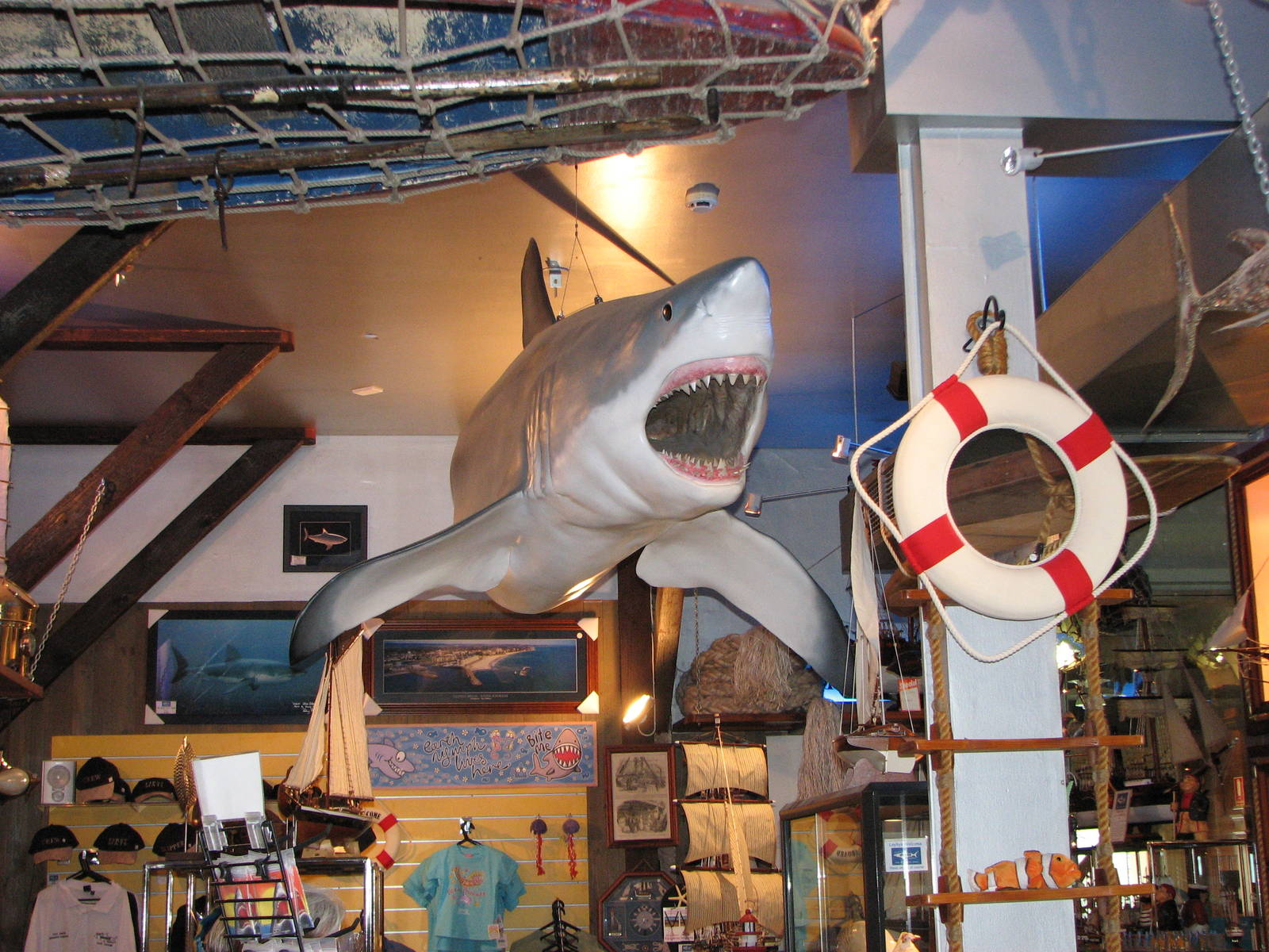 Rodney Fox Shark Experience Museum 2008 - Inside the museum