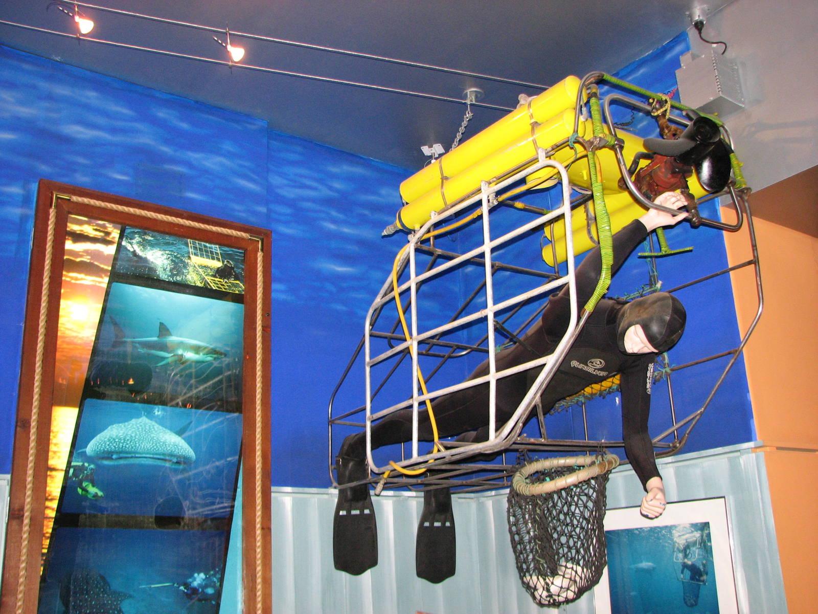 Rodney Fox Shark Experience Museum 2008 - Inside the museum