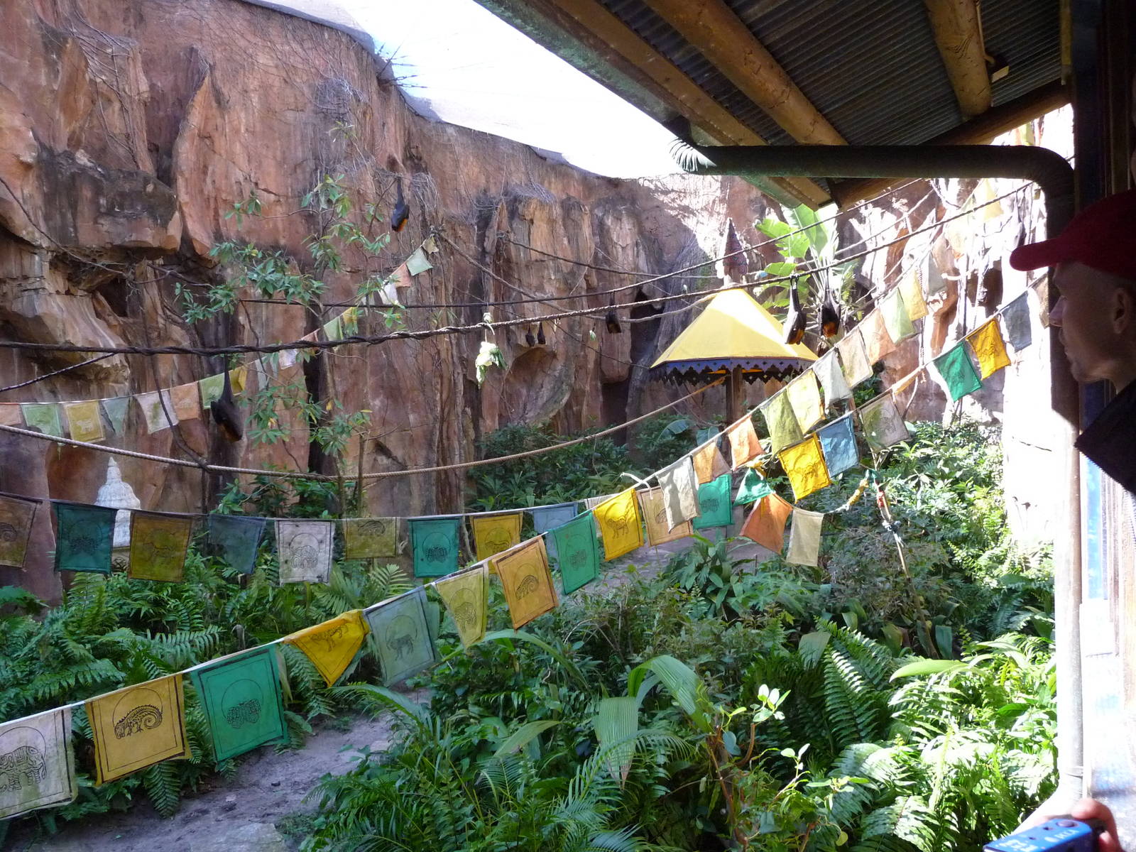 Rodrigues and Malayan Flying Fox Exhibit