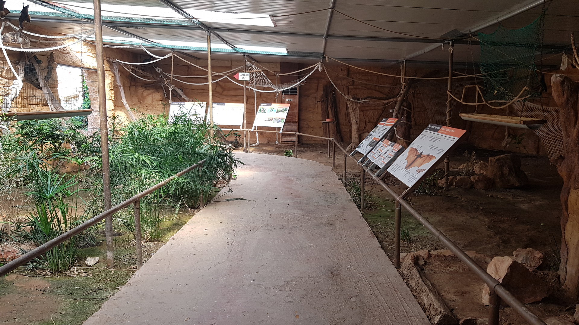 Rodrigues flying fox exhibit