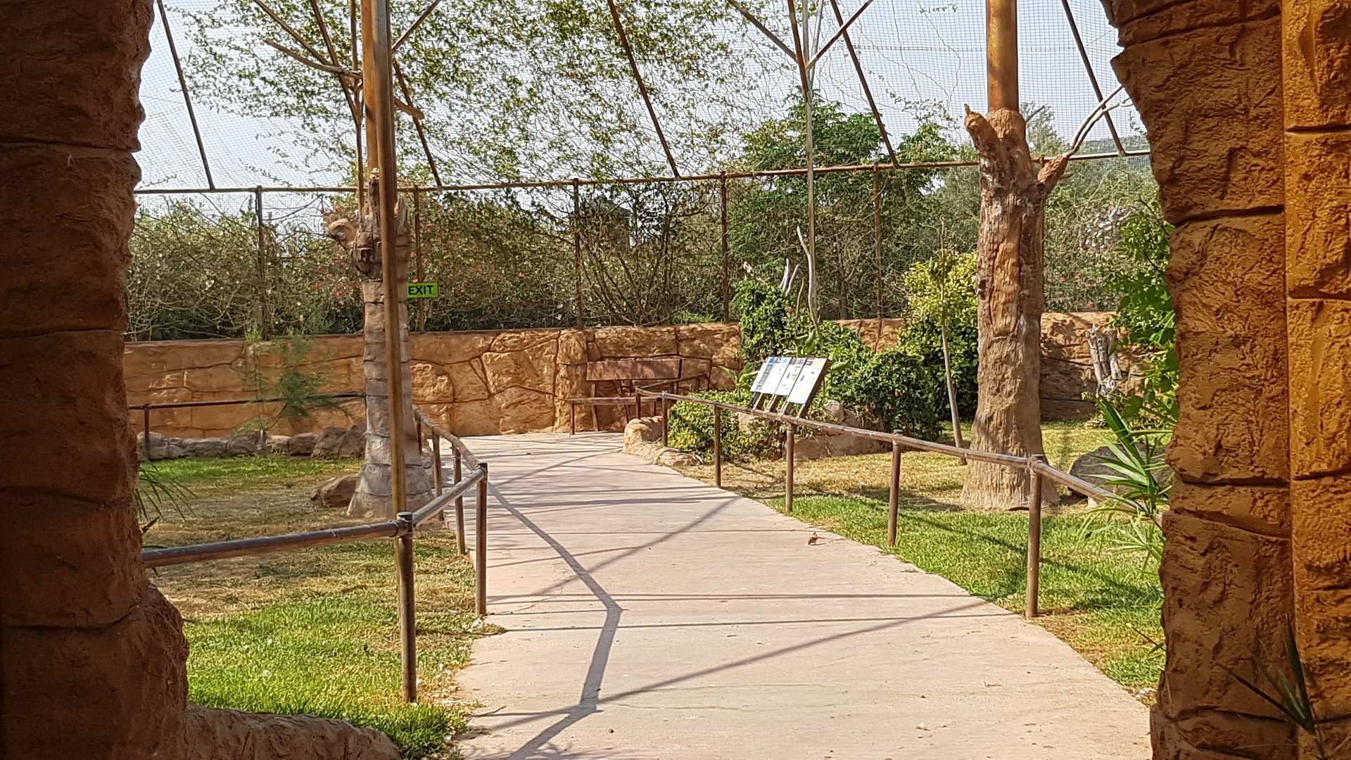 Rodrigues flying fox exhibit