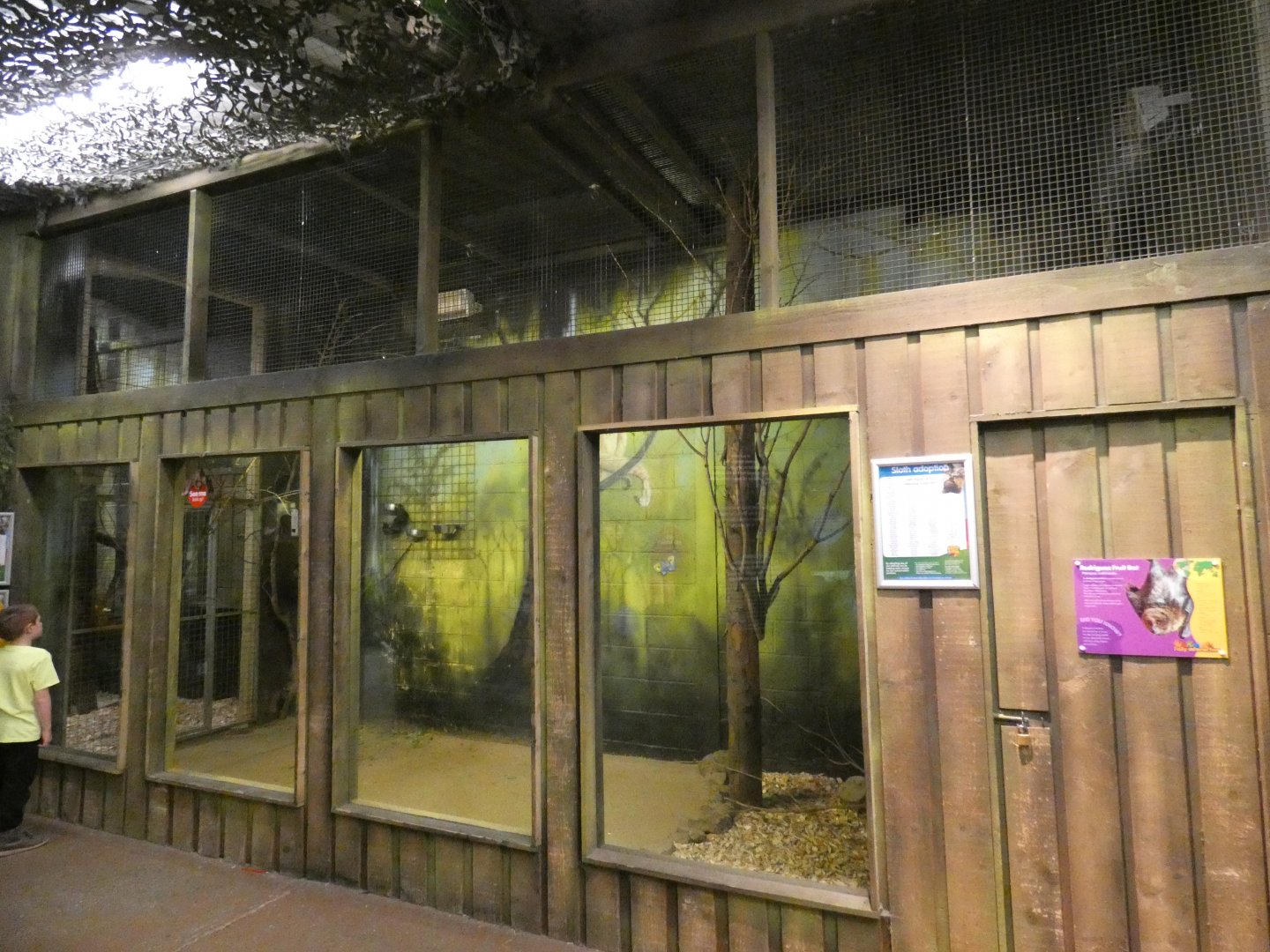 Rodrigues' Fruit Bat enclosure