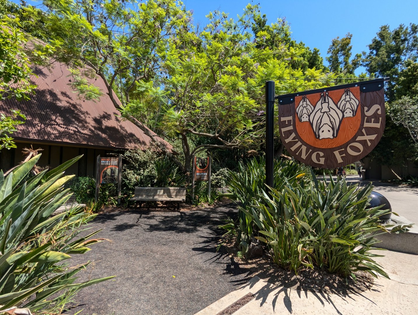 Rodriguez Fruit Bat Exhibit