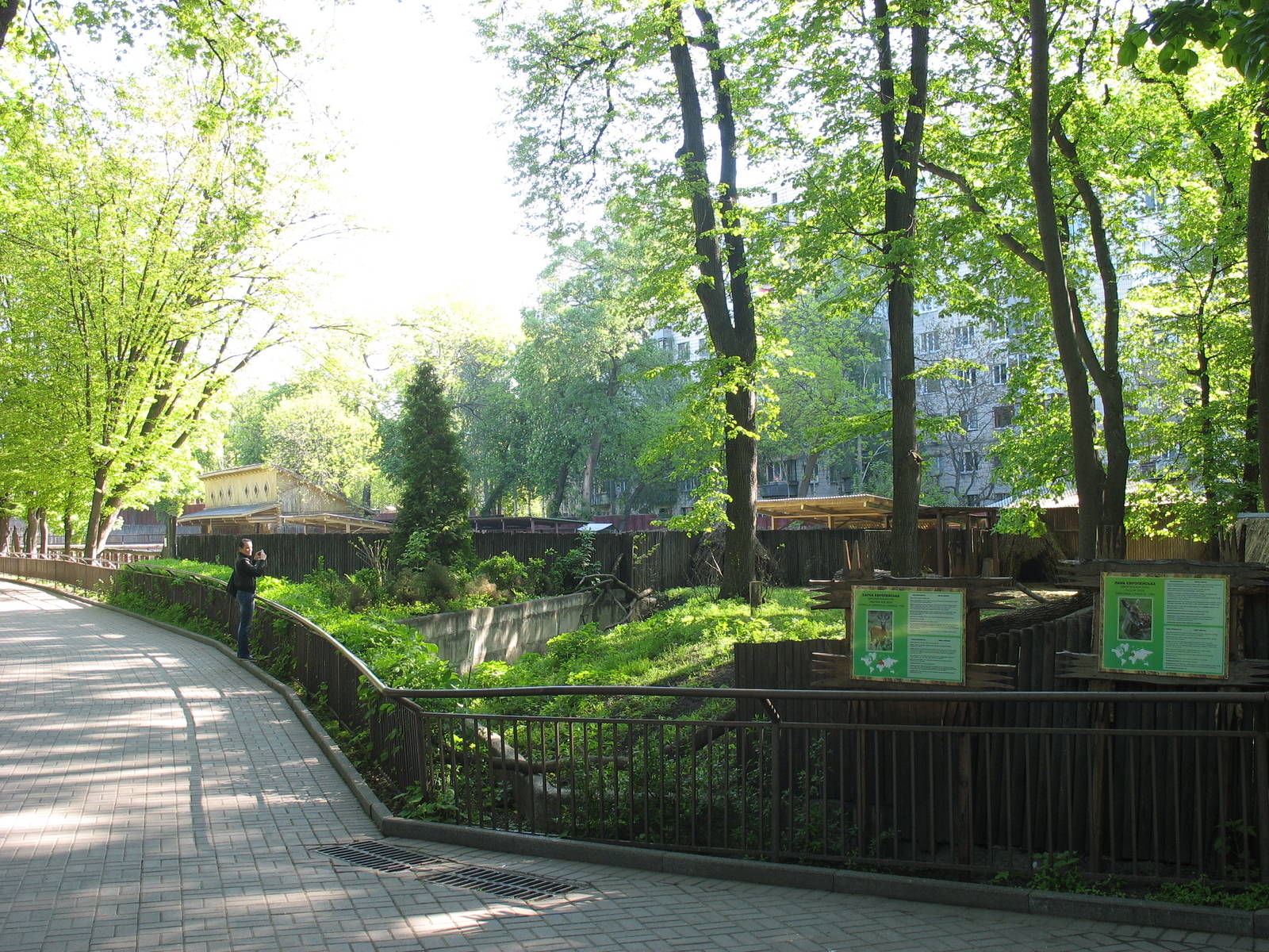 Roe deer enclosure 2011