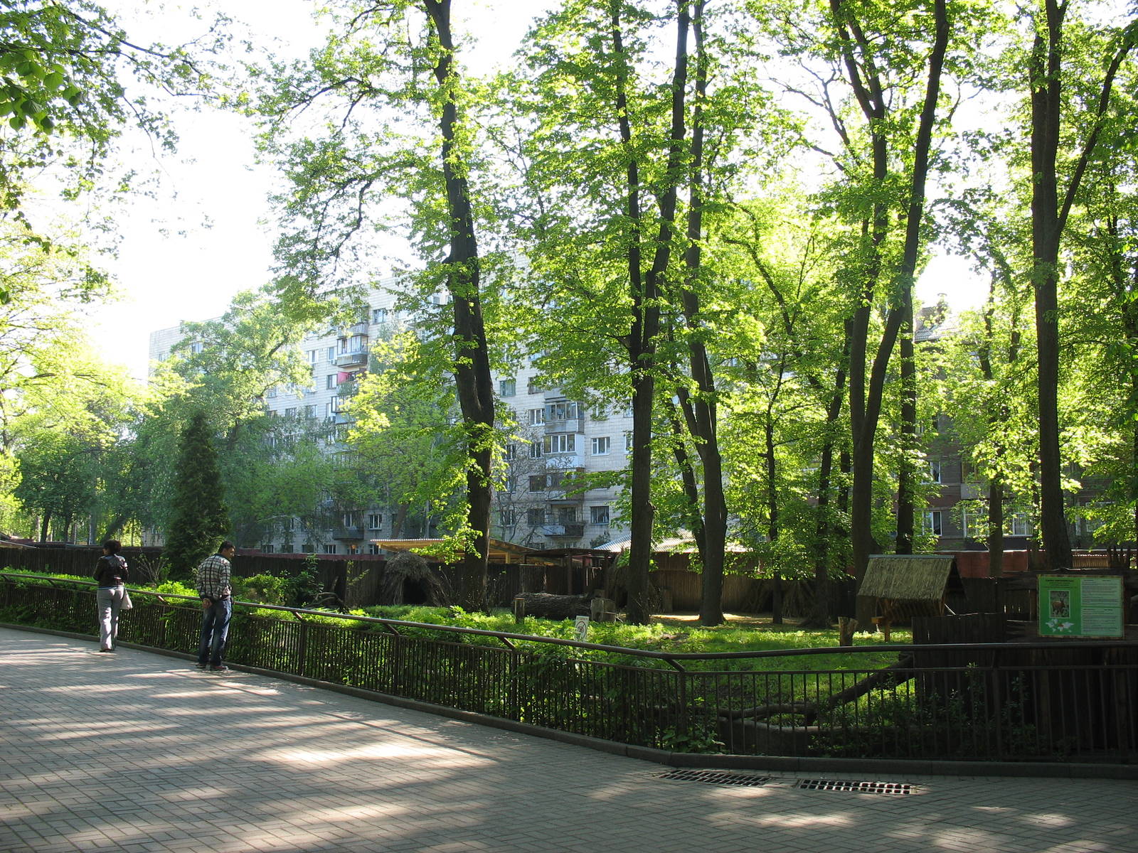 Roe deer enclosure spring 2011