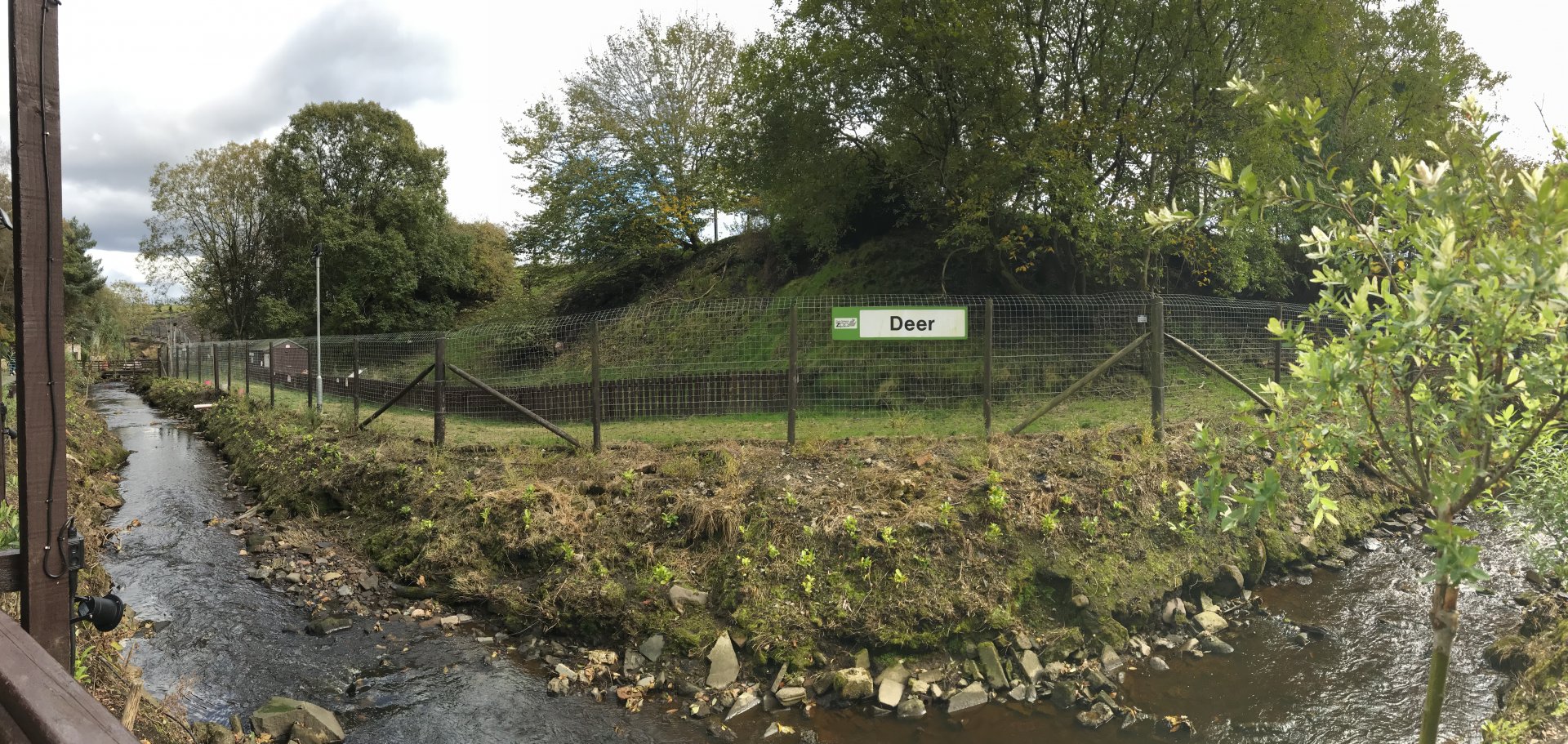 Roe deer enclosure