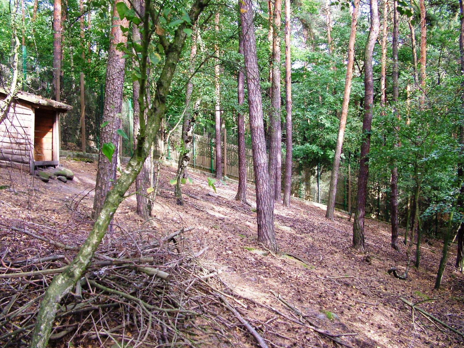 Roe Deer/Rabbit Exhibit at Decin, 28/08/12