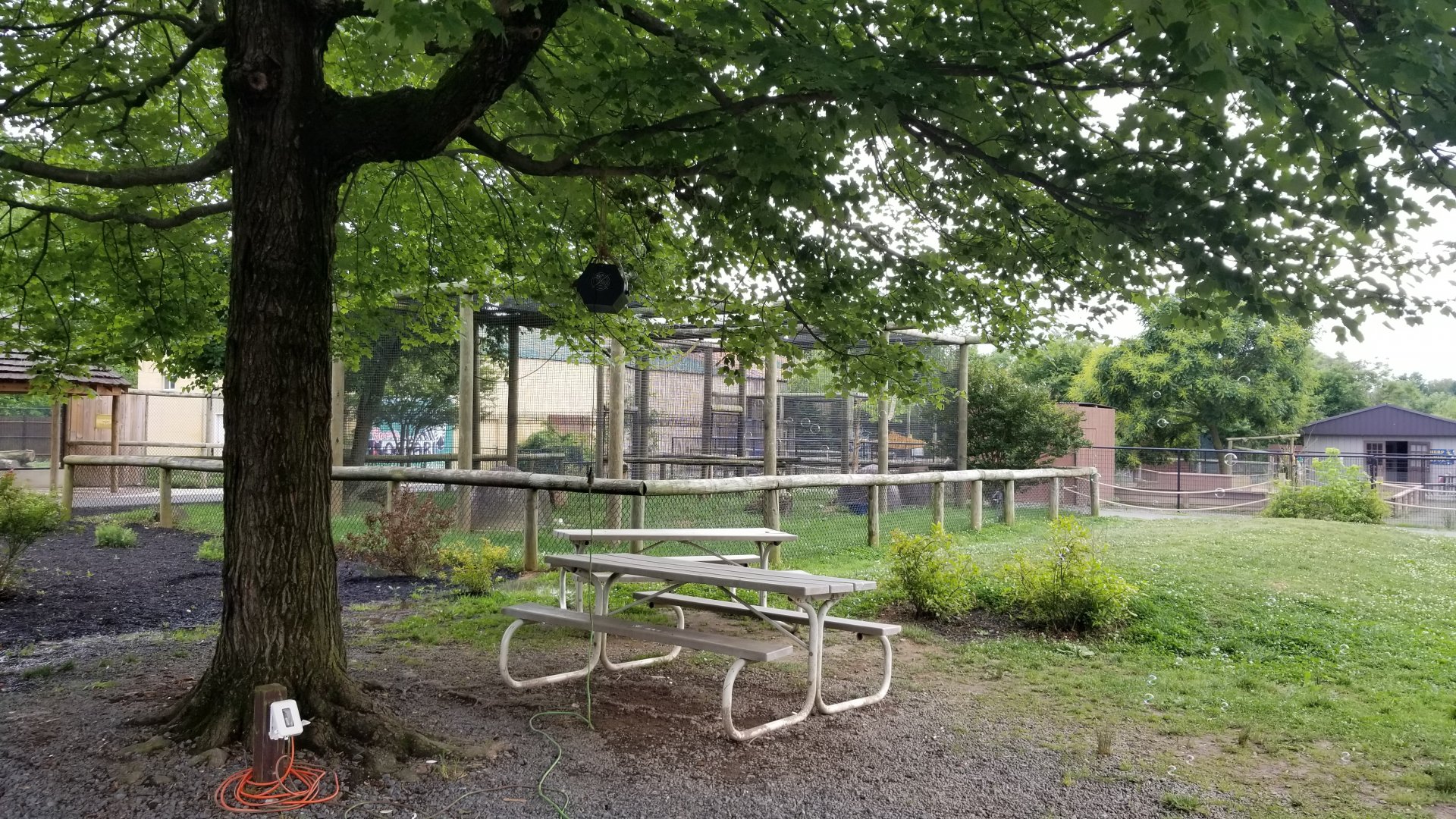 Roer's Zoofari - African civet exhibit