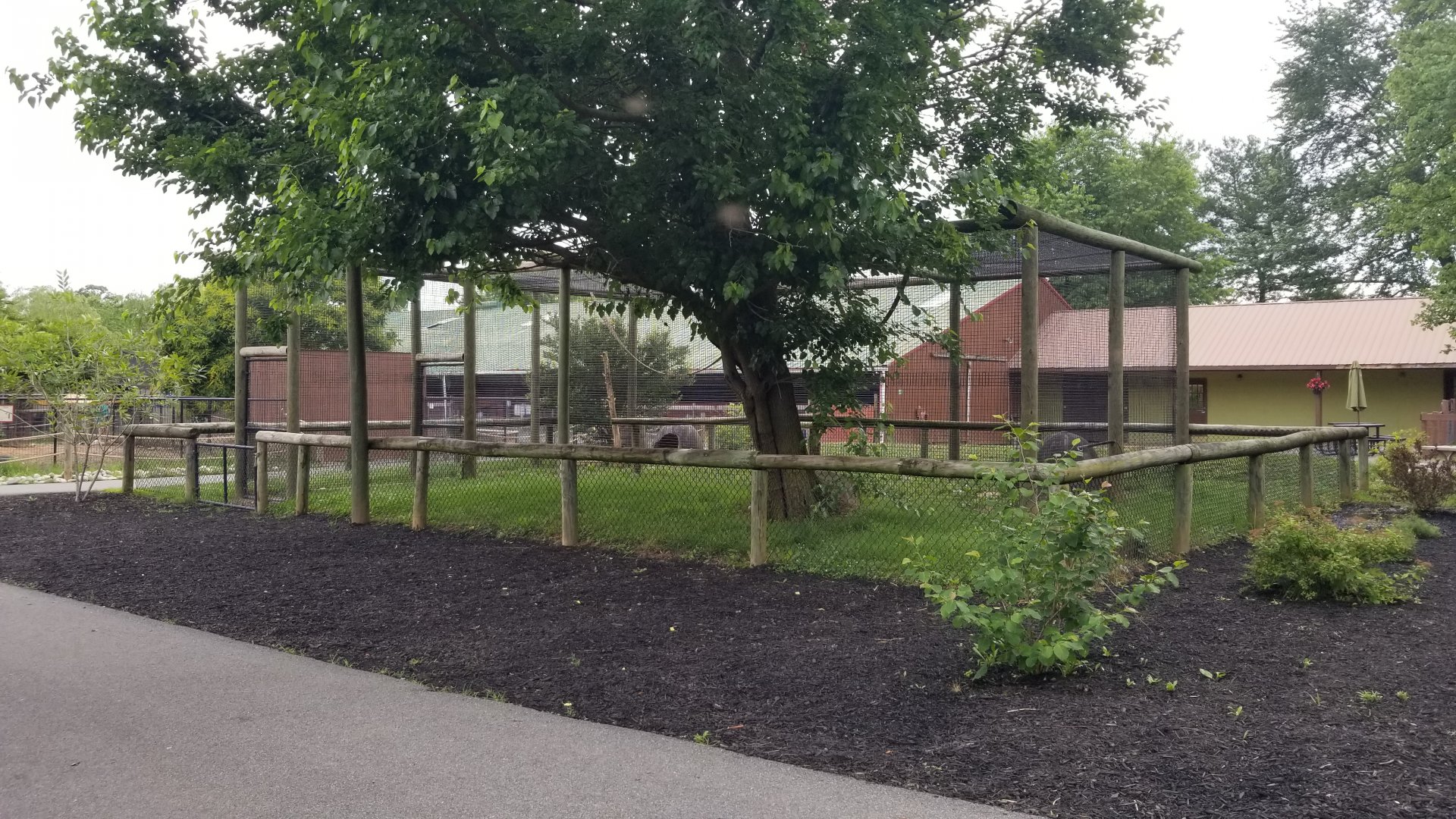 Roer's Zoofari - African civet exhibit