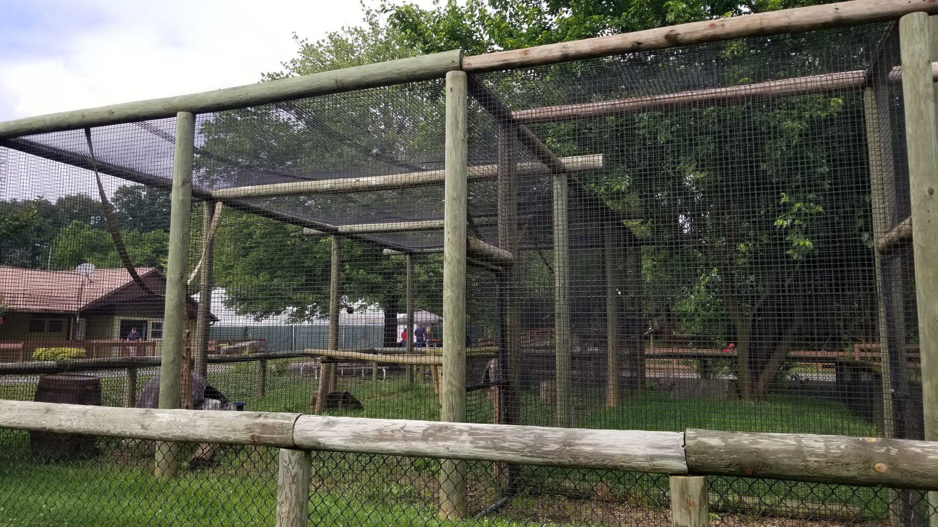 Roer's Zoofari - African civet exhibit