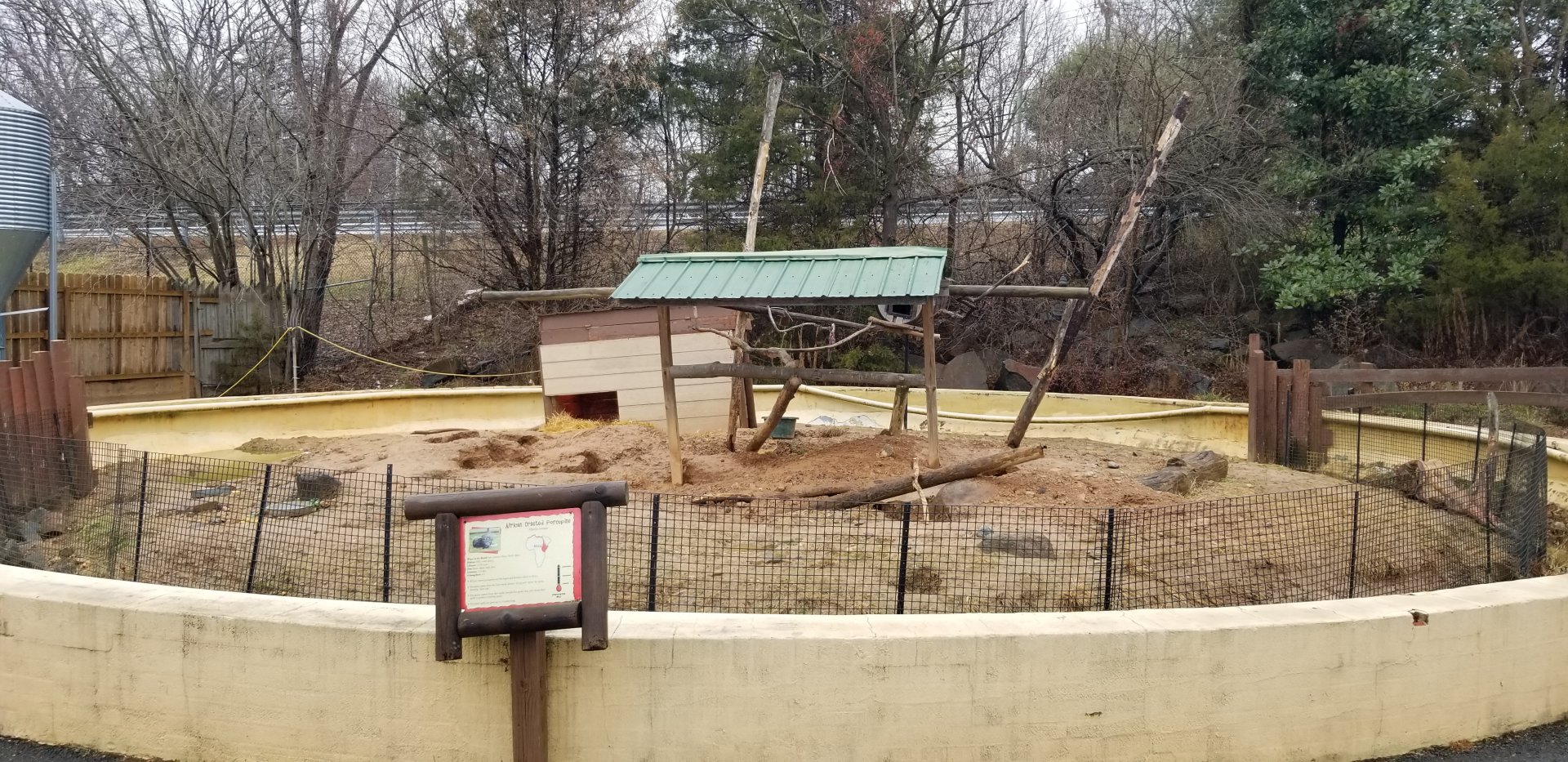 Roer's Zoofari - african crested porcupine