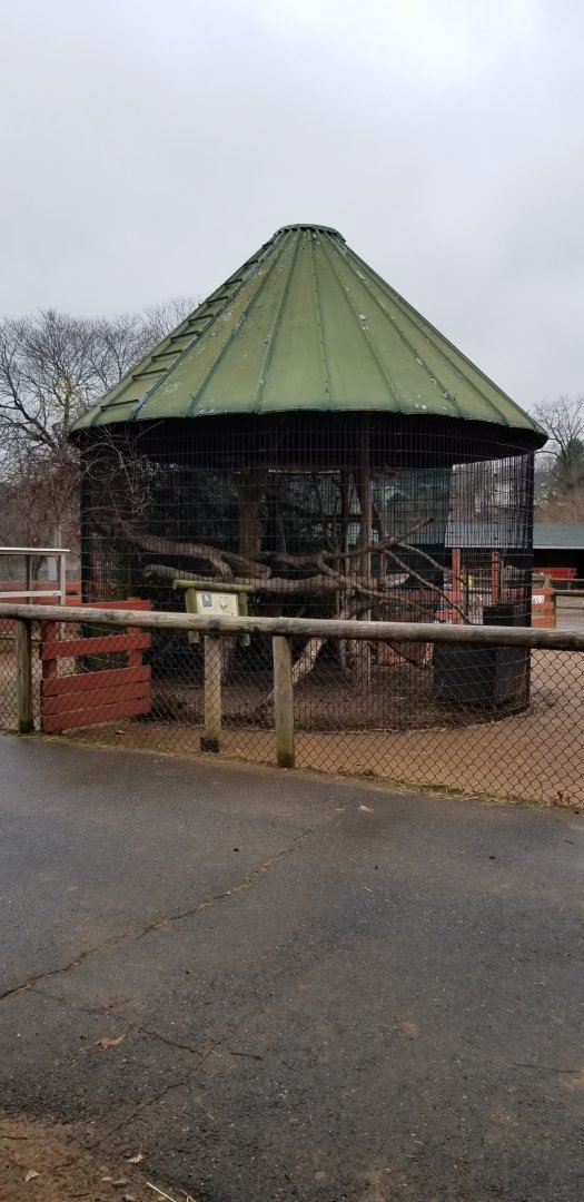 Roer's Zoofari - barn owl