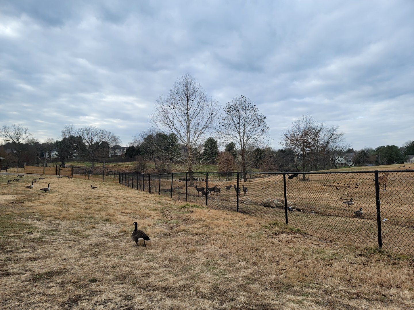 Roer's Zoofari - Before entrance