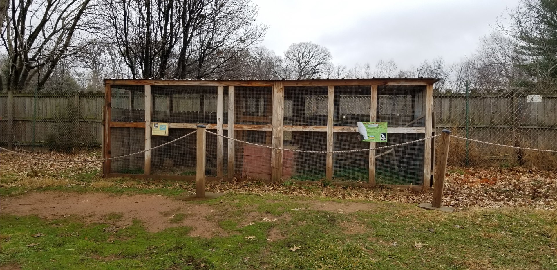 Roer's Zoofari - birds