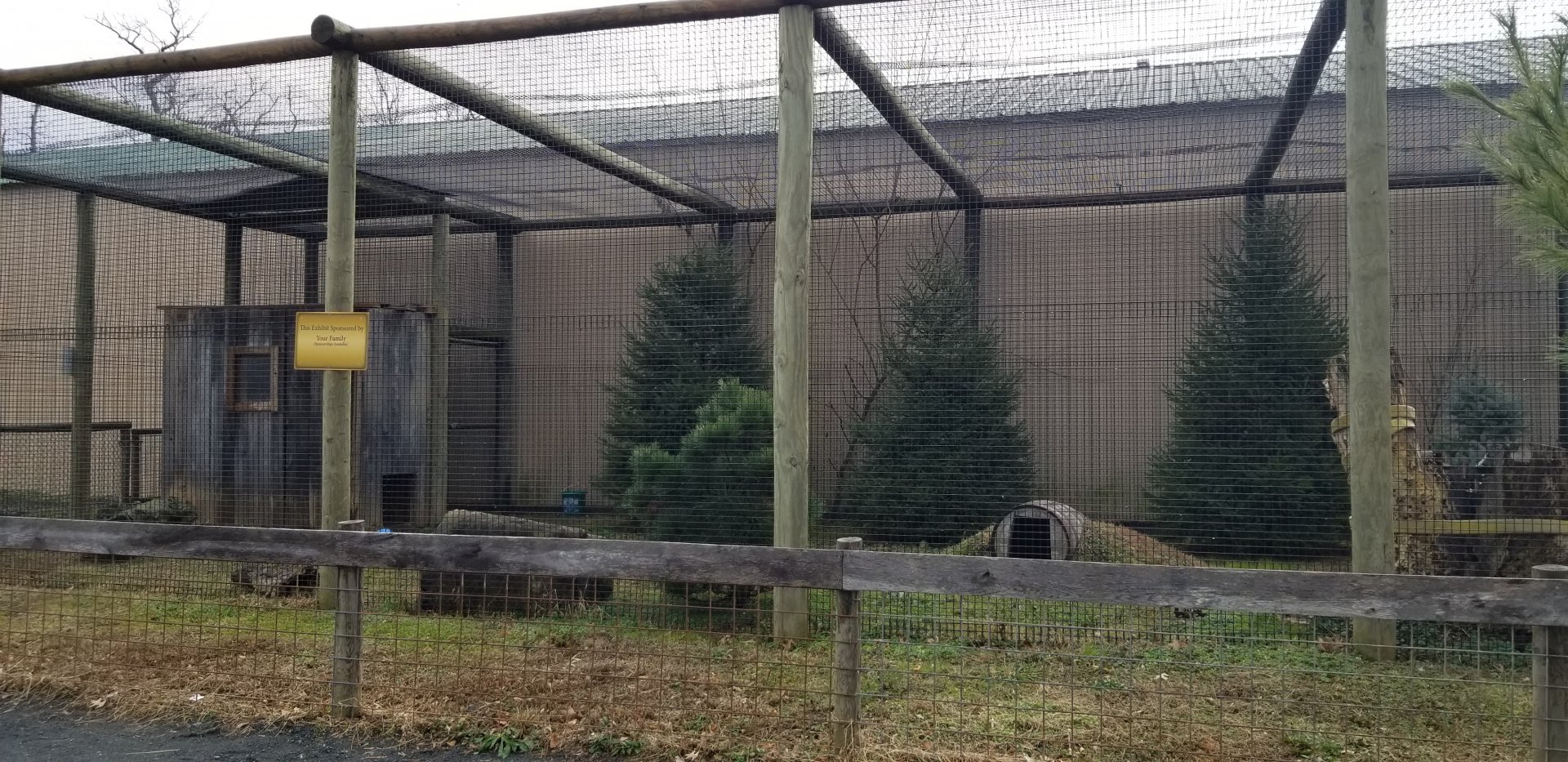 Roer's Zoofari - bobcat