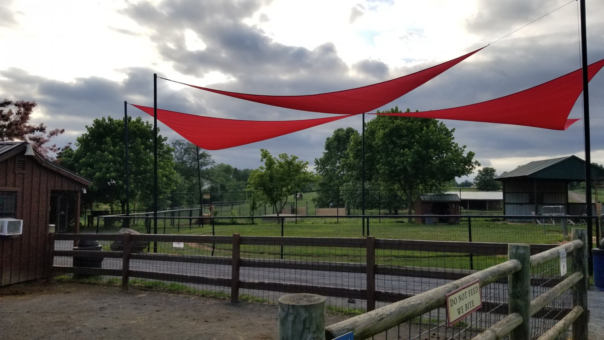 Roer's Zoofari - Camel ride area