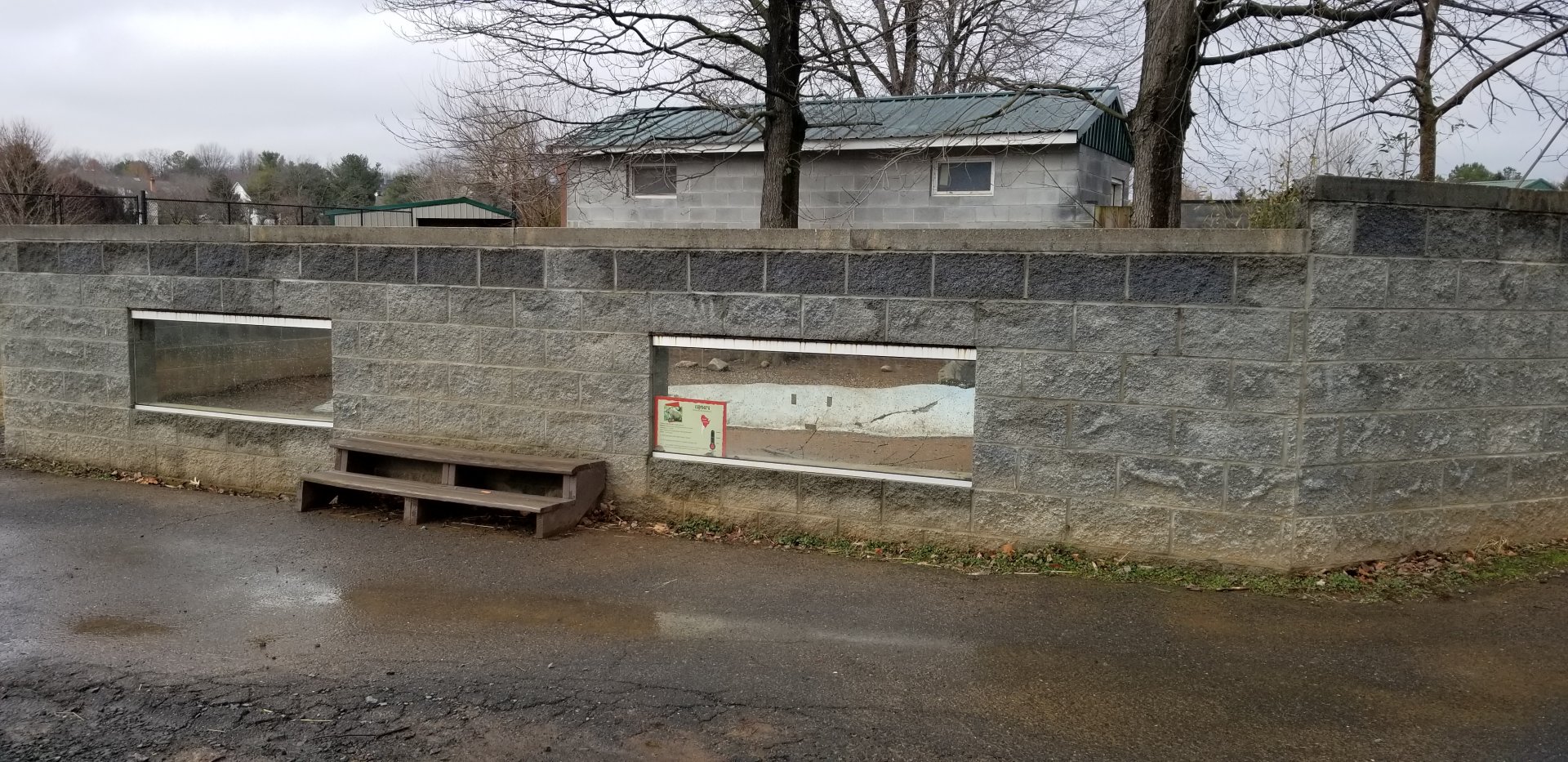 Roer's Zoofari - capybara