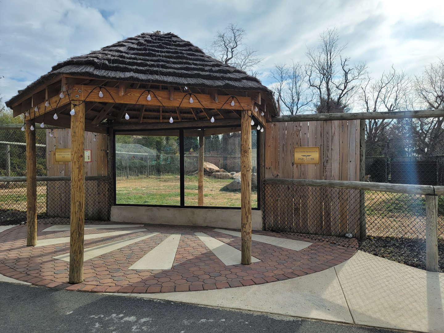 Roer's Zoofari - Cheetahs