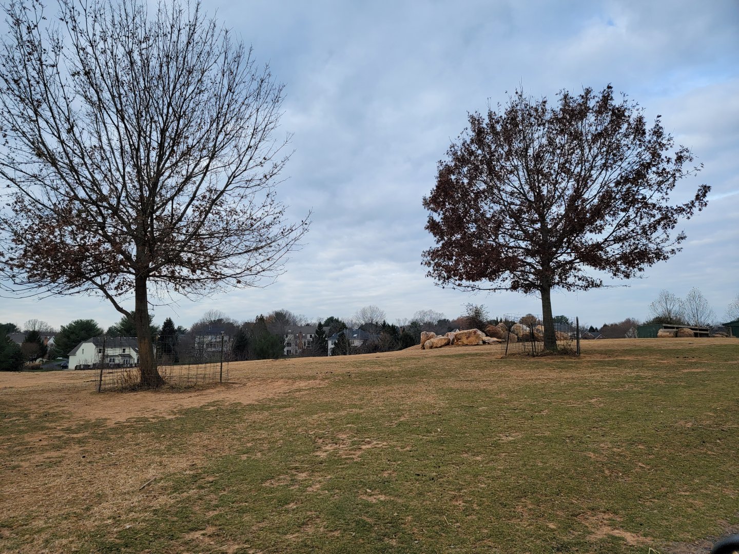 Roer's Zoofari - Decorations