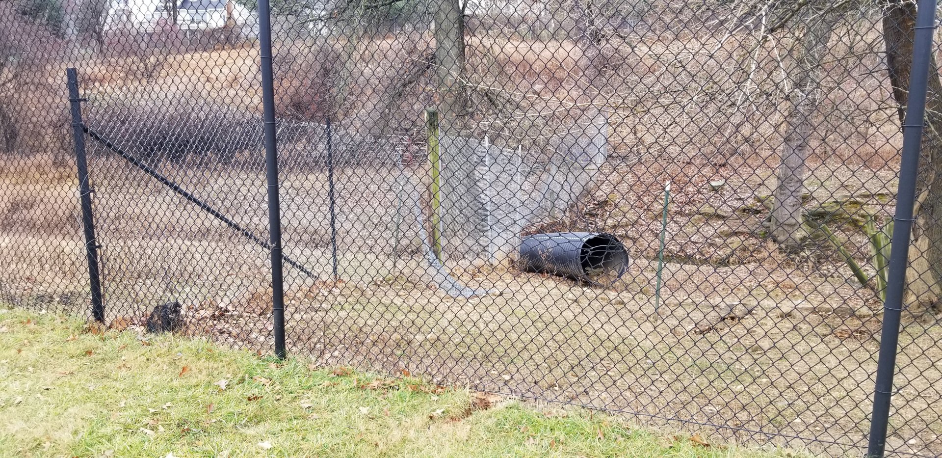Roer's Zoofari - down fence in safari field