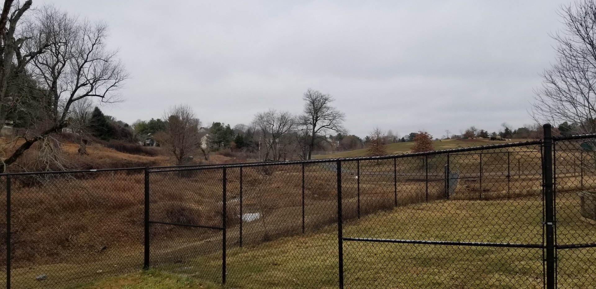 Roer's Zoofari - extended area of safari field