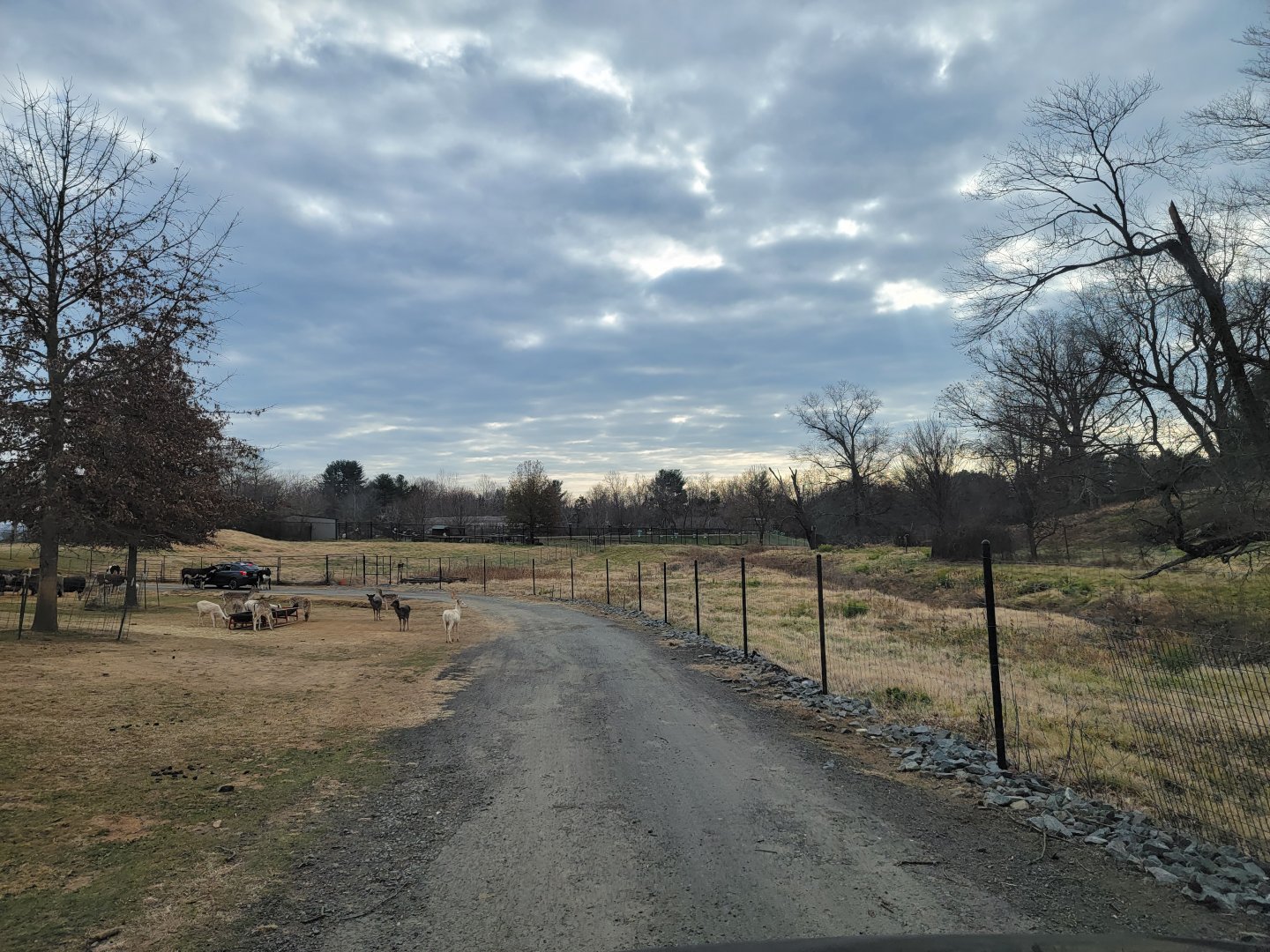 Roer's Zoofari - Extra hoofstock area for separation