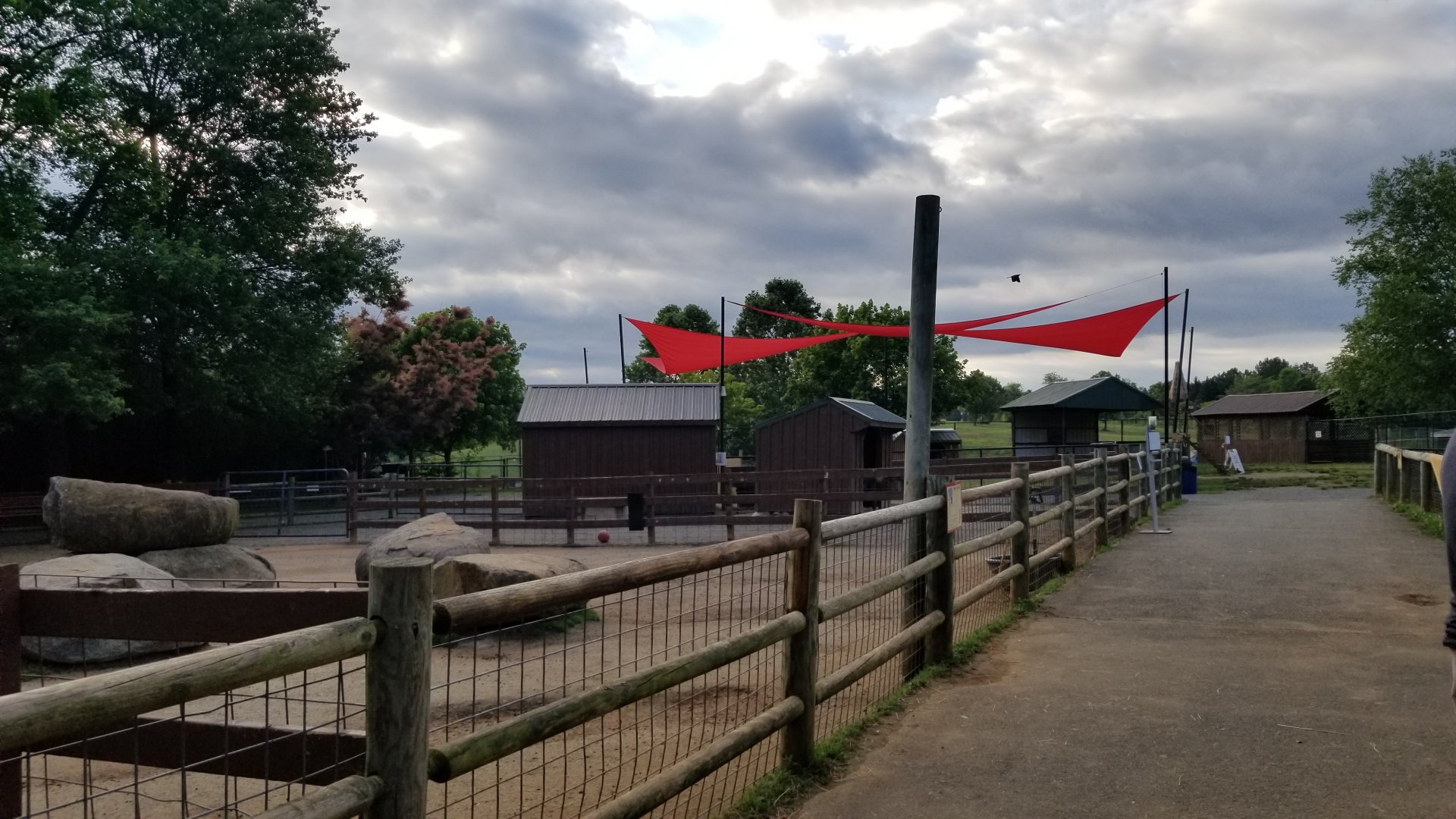 Roer's Zoofari - Farmyard