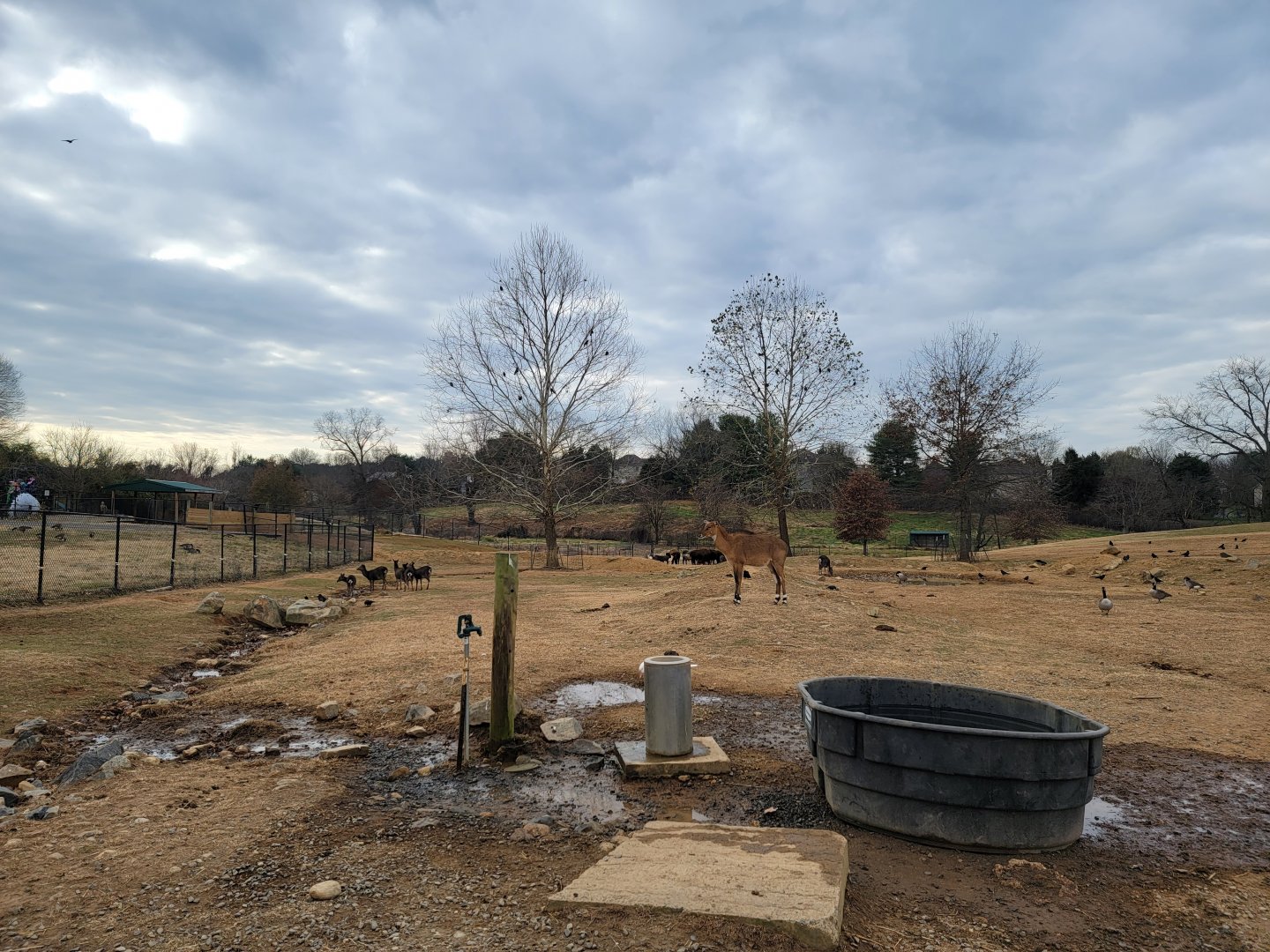 Roer's Zoofari - Inside drive-through entrance