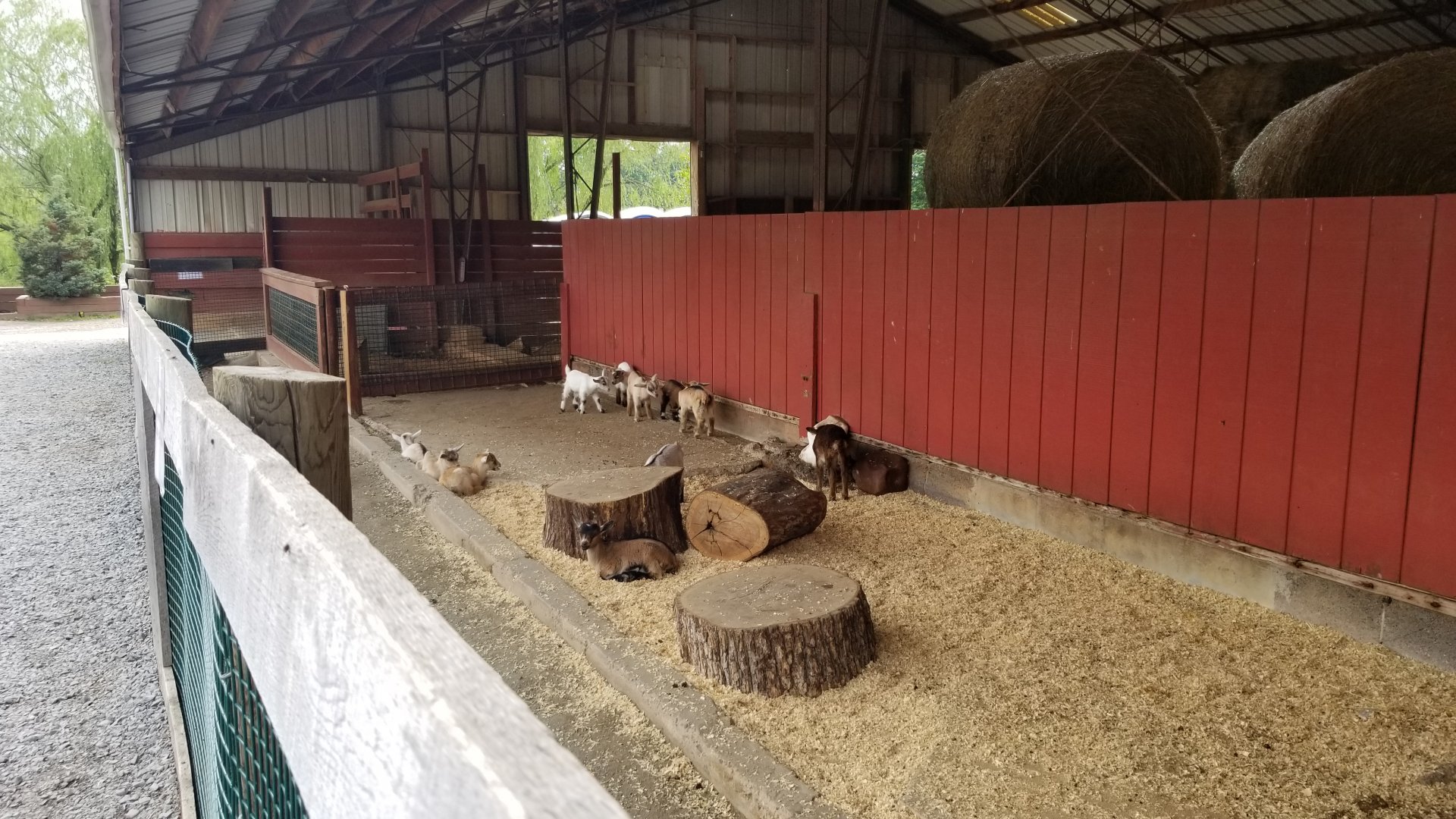 Roer's Zoofari - Kids