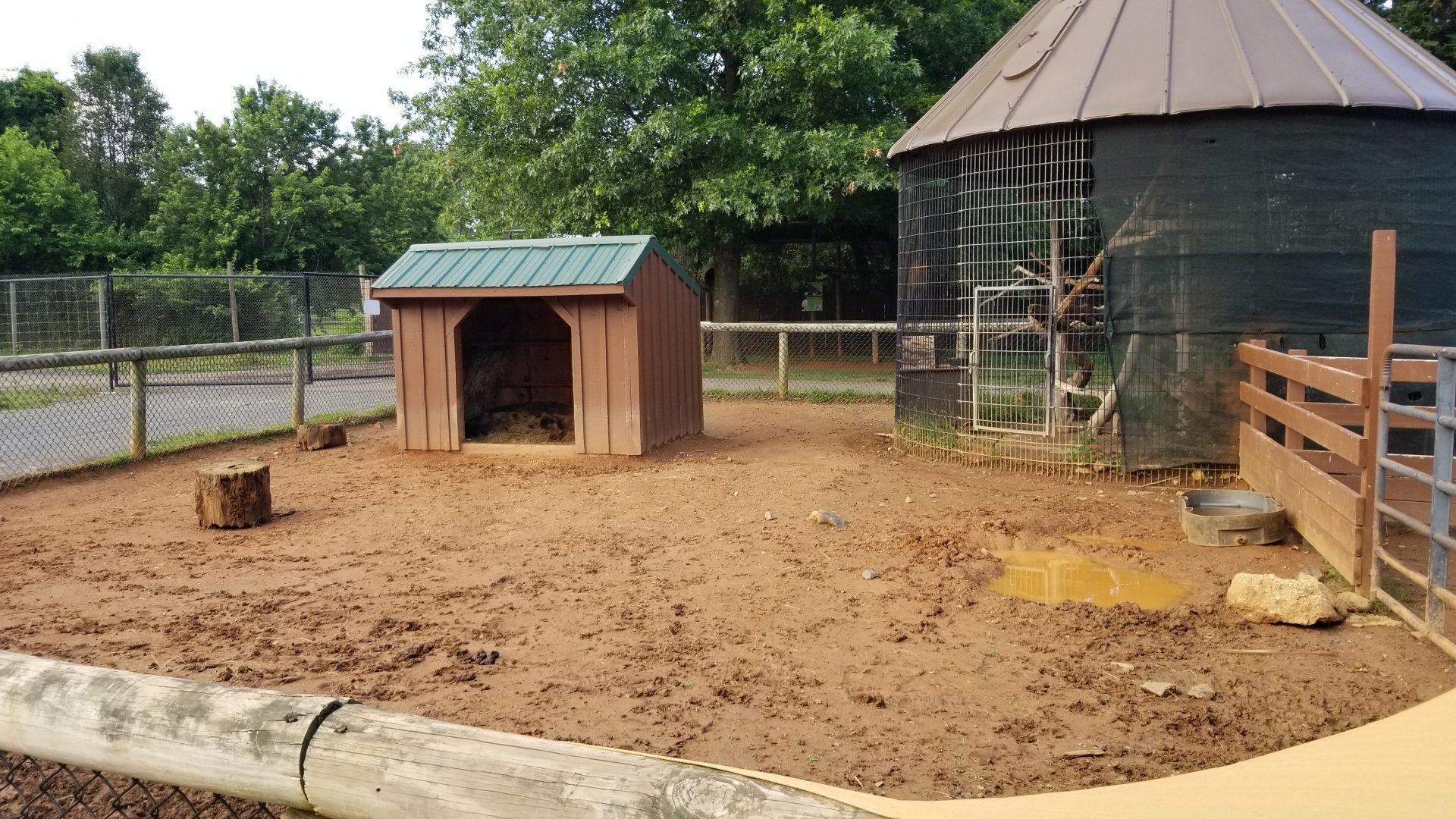 Roer's Zoofari - Kunekune, corn crib has an owl