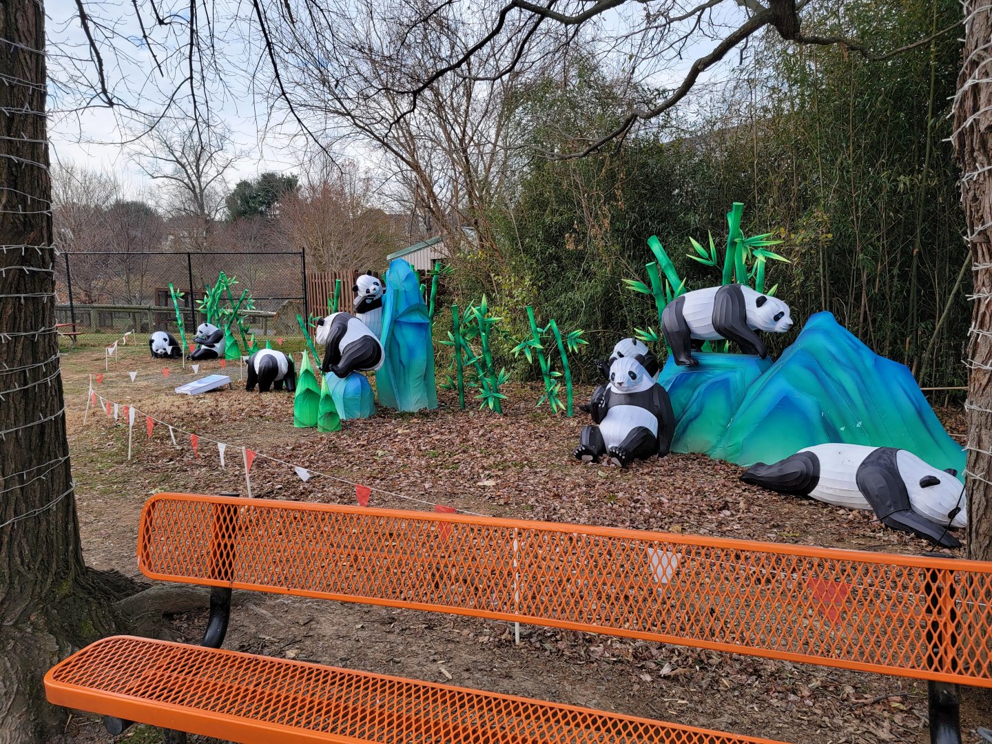 Roer's Zoofari - LuminoCity Festival panda lights