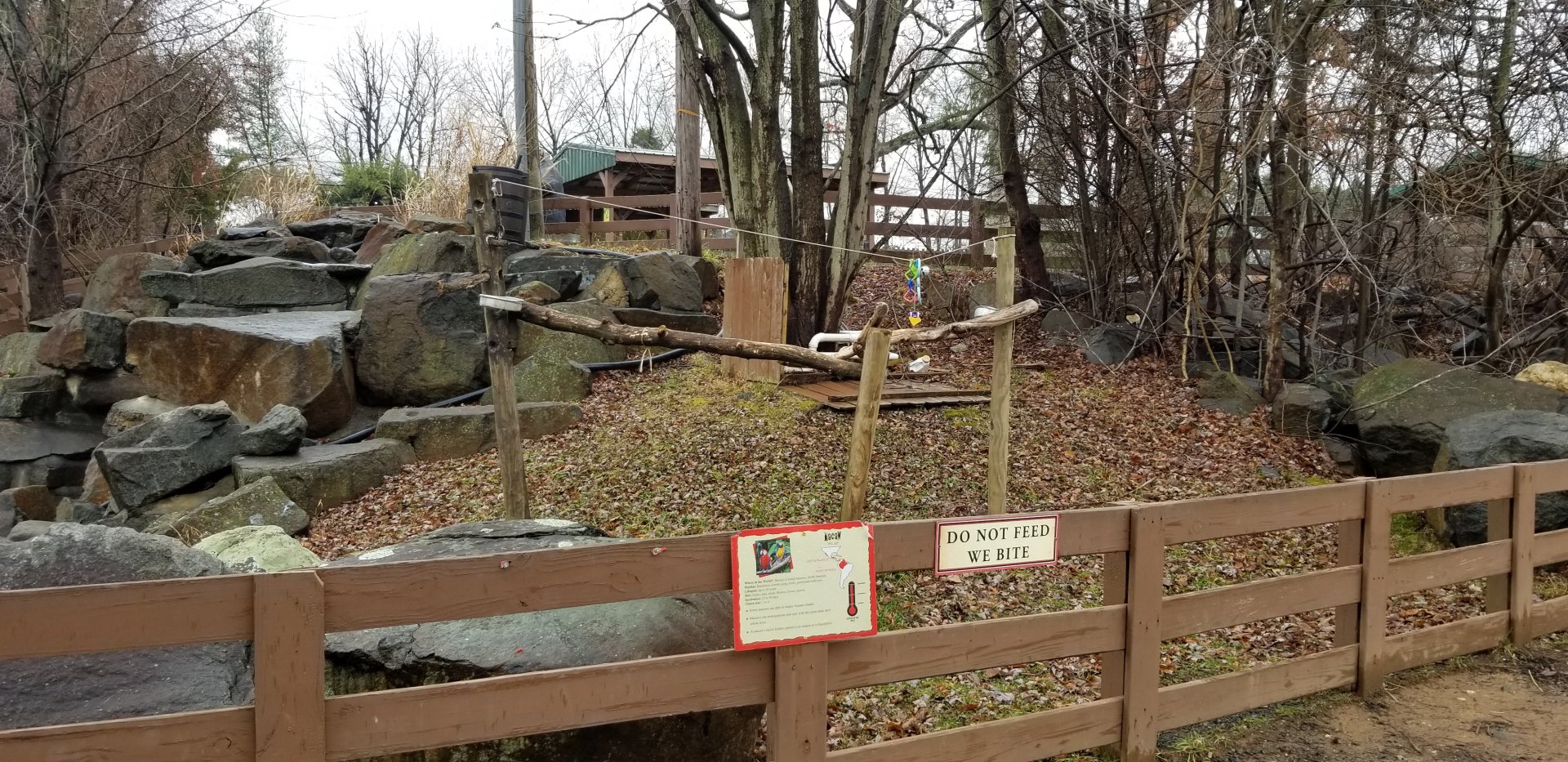 Roer's Zoofari - macaw area