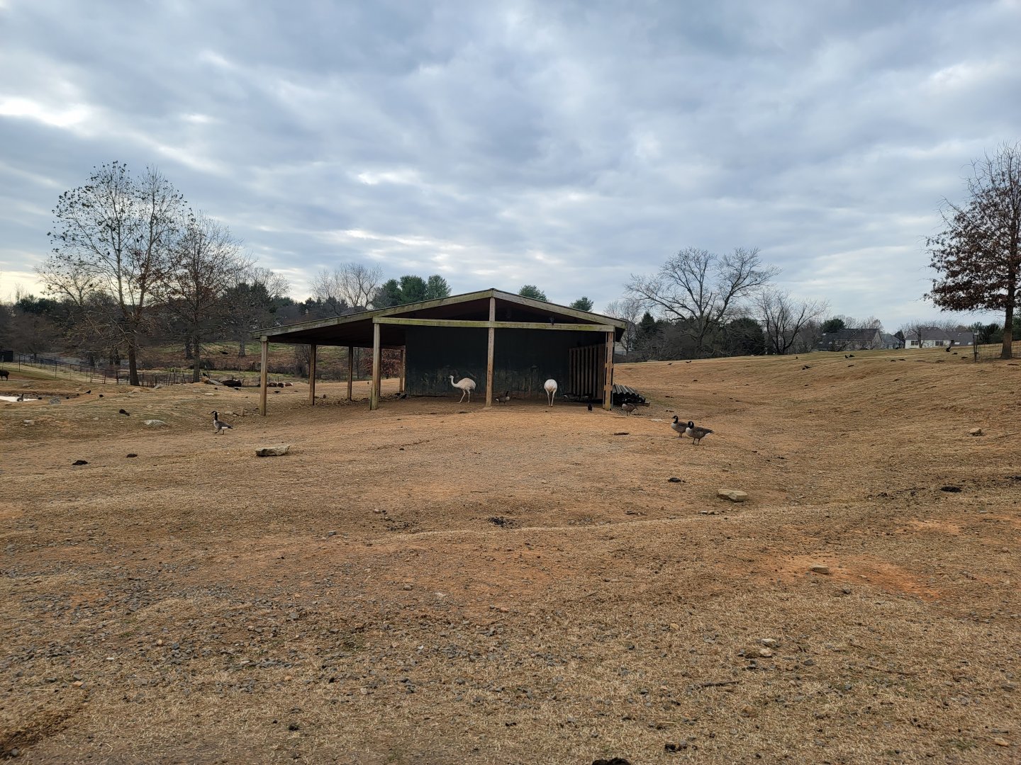 Roer's Zoofari - Main shelter