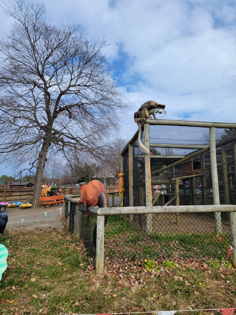 Roer's Zoofari - Monkeys