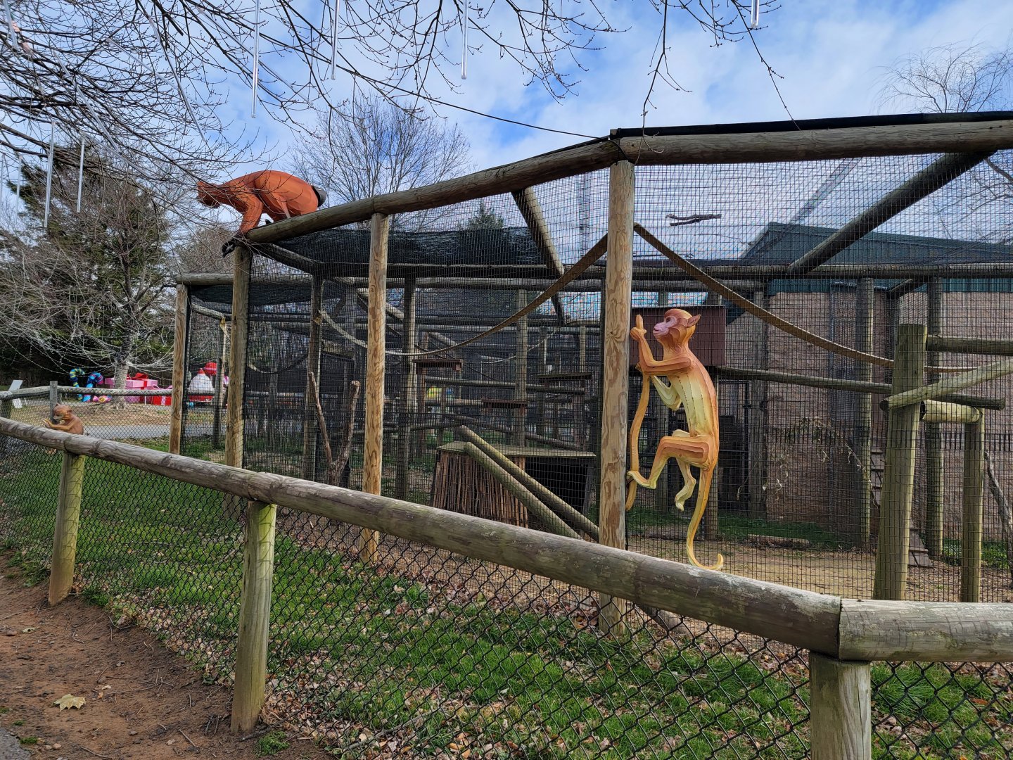 Roer's Zoofari - Monkeys