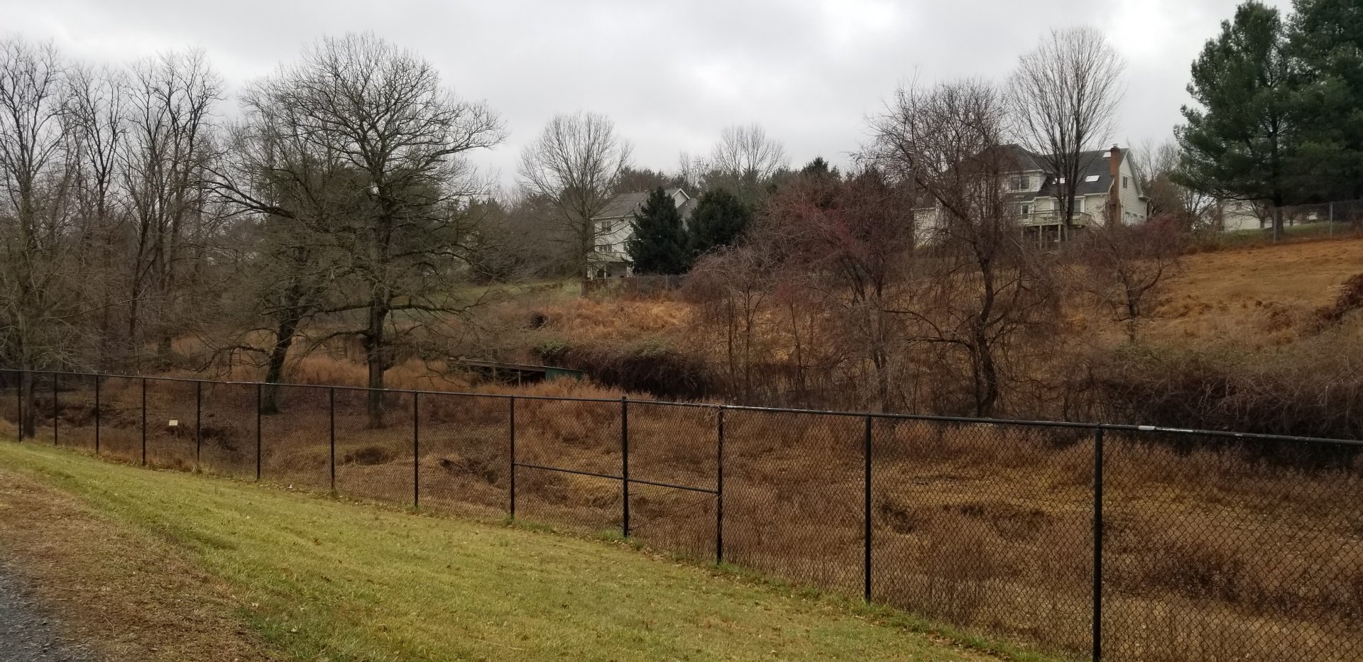 Roer's Zoofari - more of safari field thanks to down fence