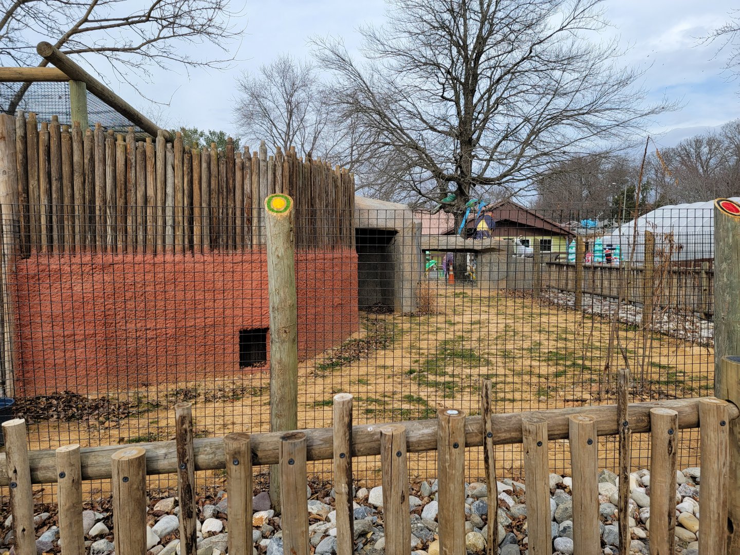 Roer's Zoofari - New African civet exhibit