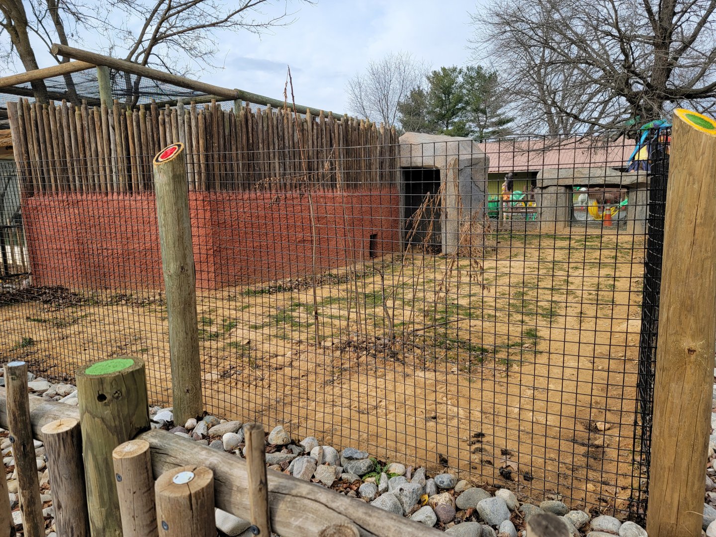 Roer's Zoofari - New African civet exhibit