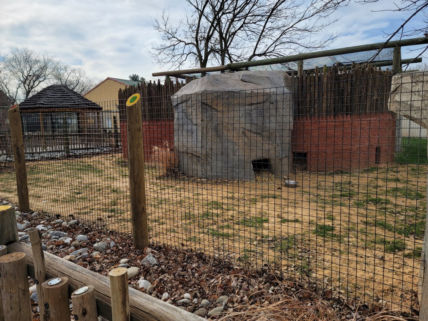 Roer's Zoofari - New African civet exhibit