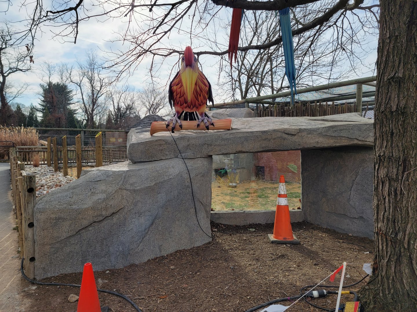 Roer's Zoofari - New African civet exhibit