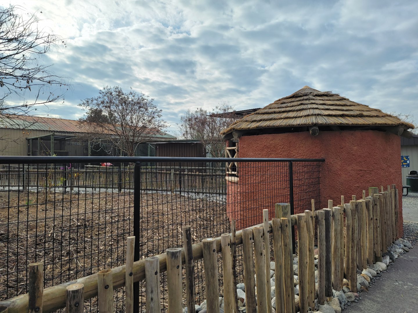 Roer's Zoofari - New red river hog exhibit